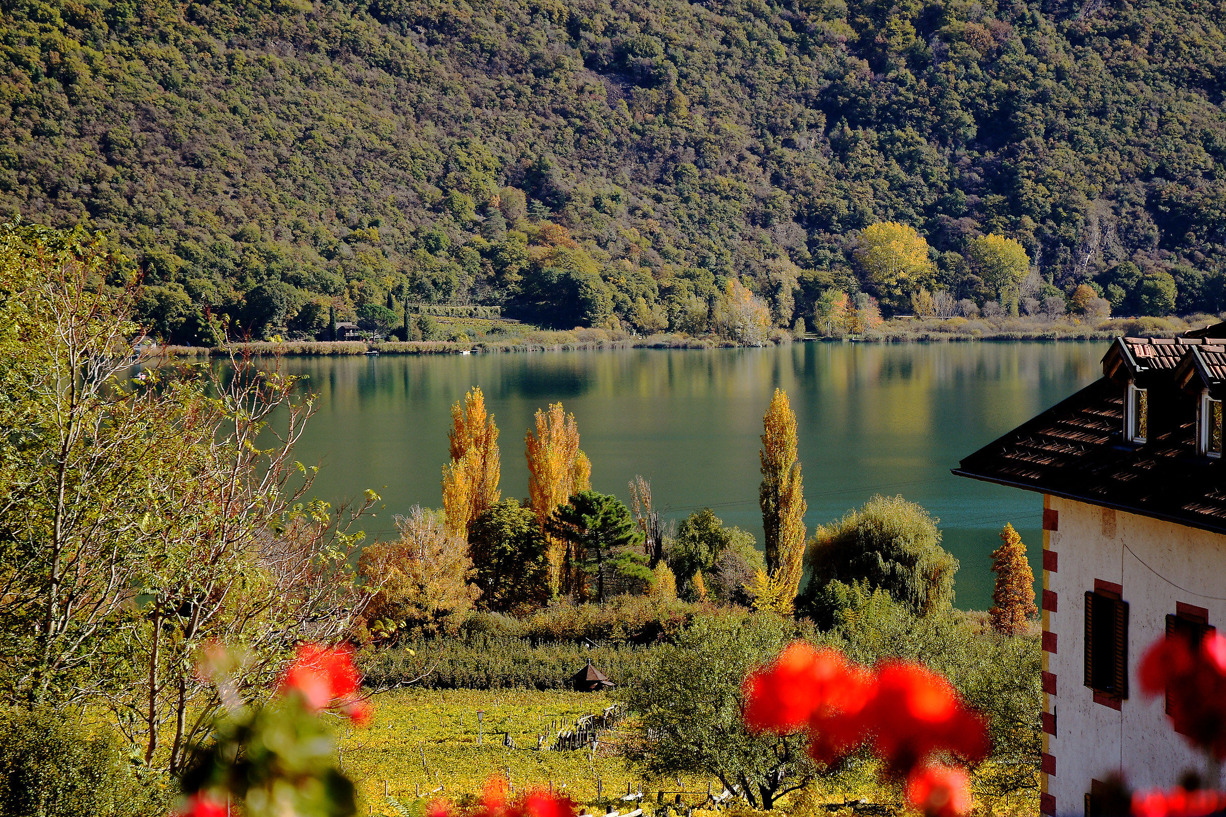 Lago di Caldaro