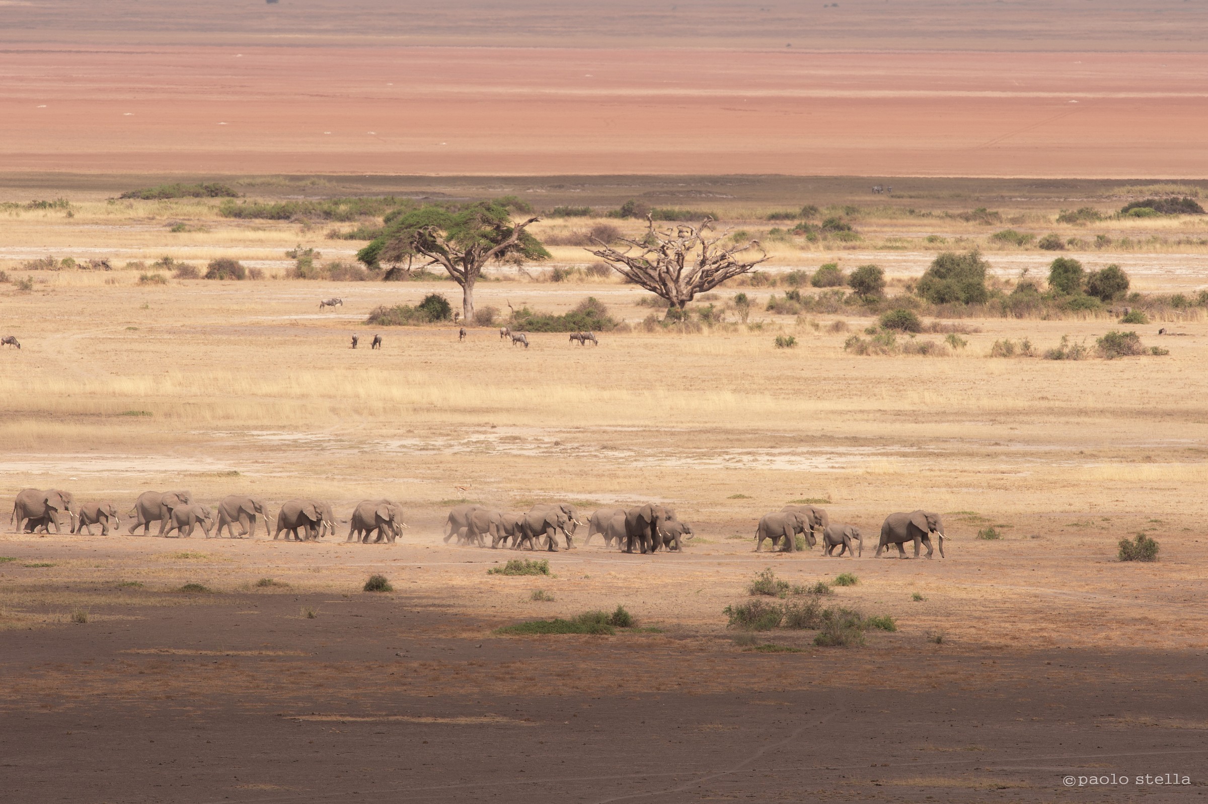 after crossing the Pan