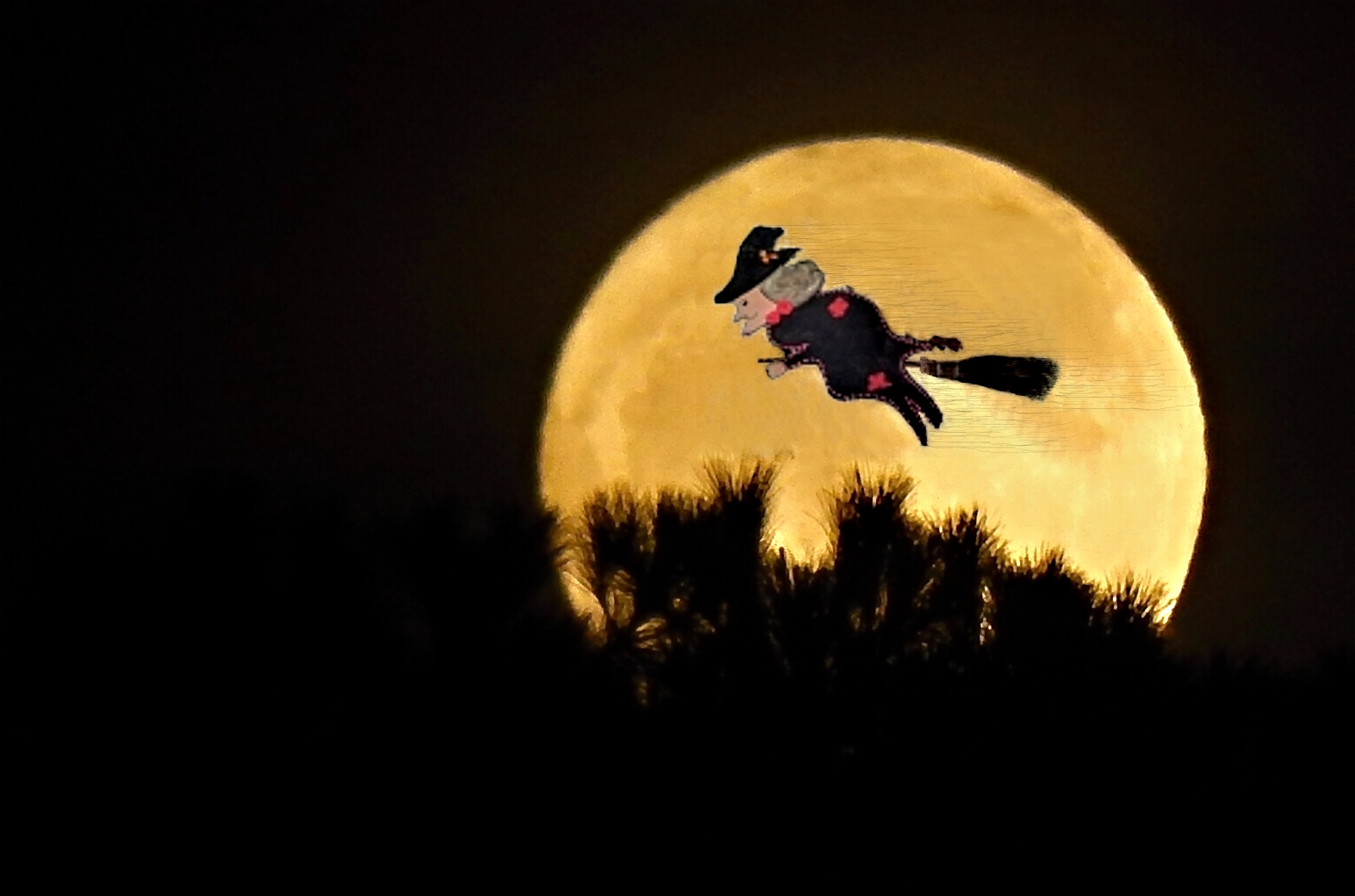 ... it's coming ... Good Befana to everyone !! ...