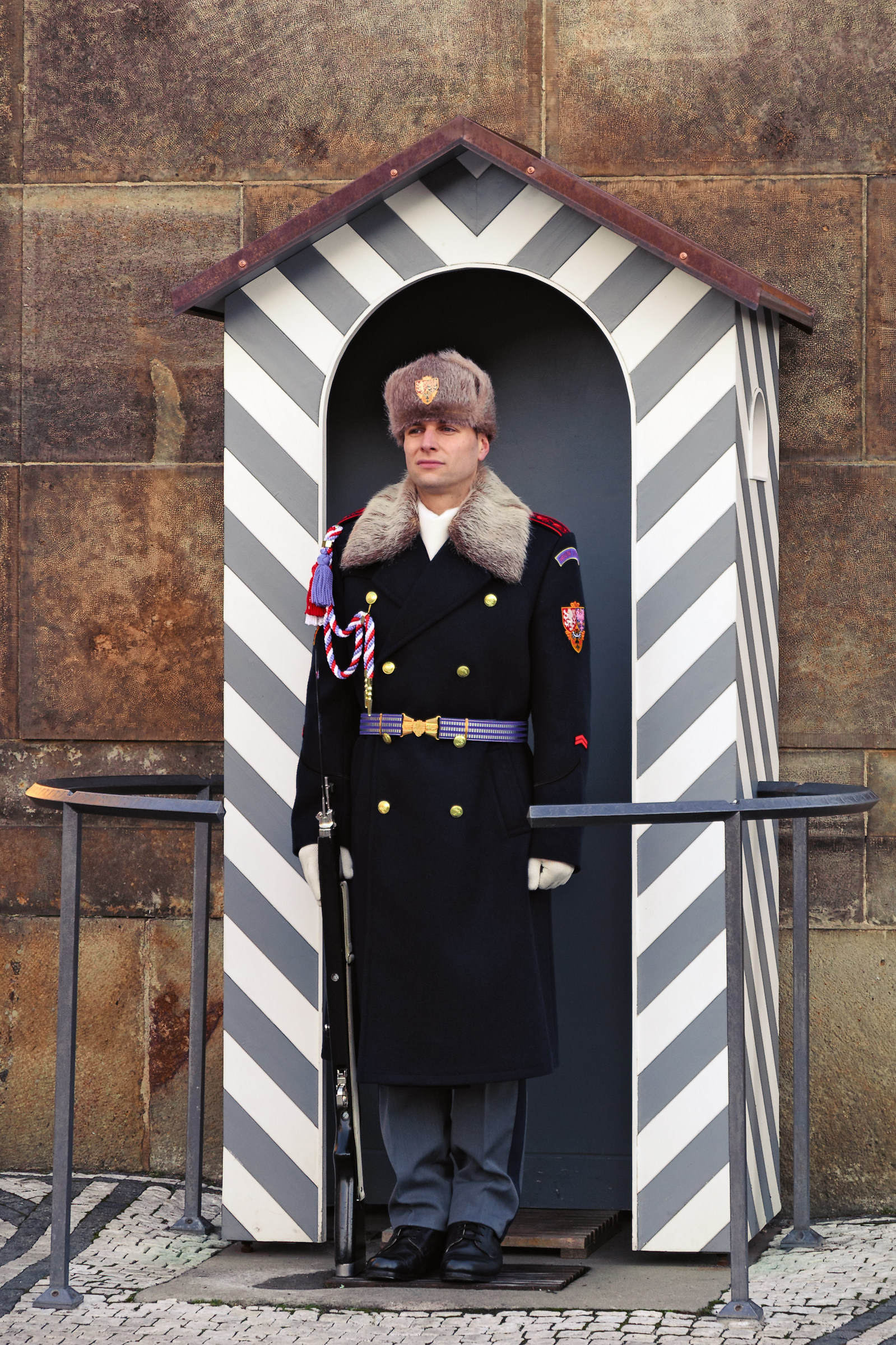 Guard at Prague Castle (Prazsky hrad)