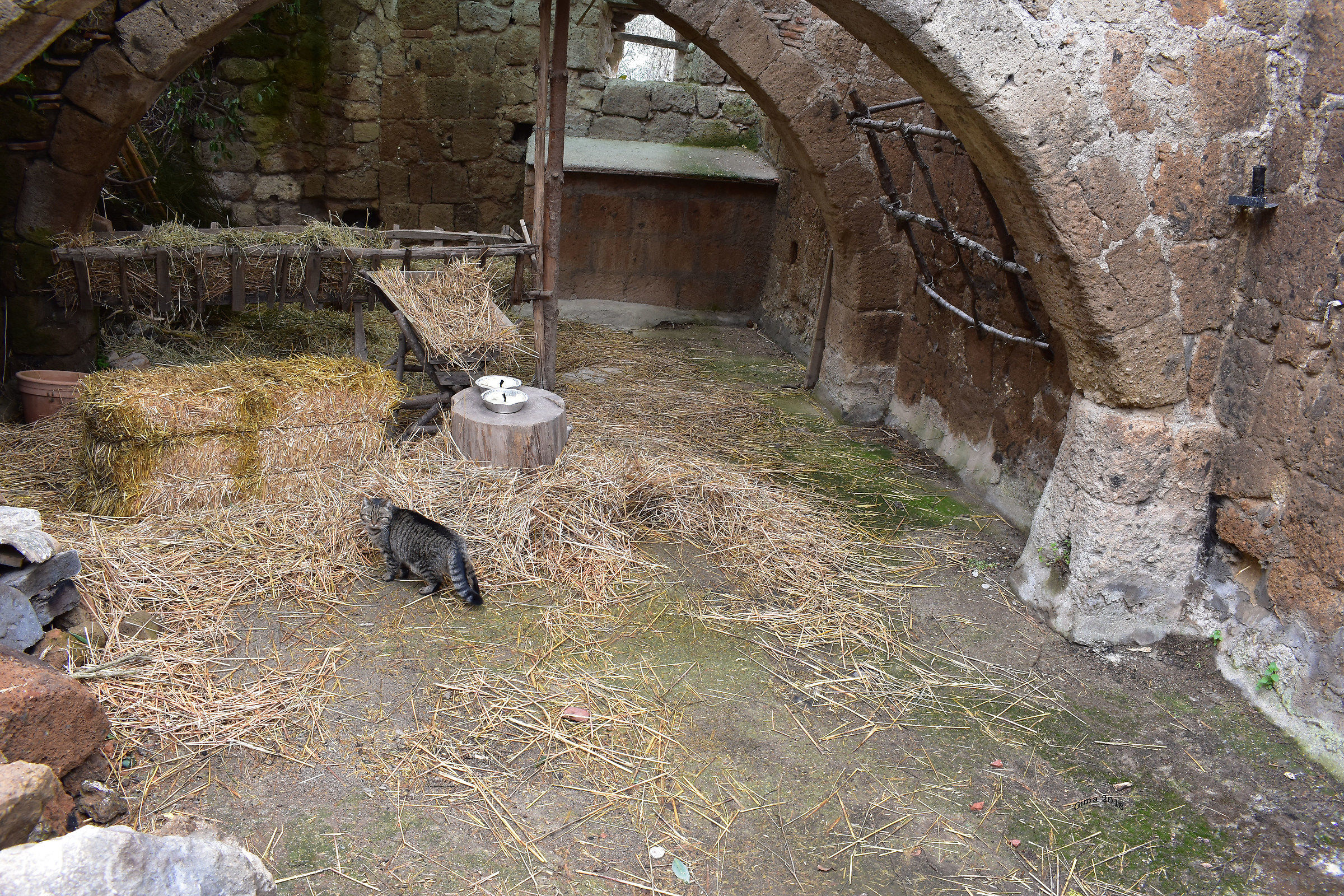 ... they went out for lunch