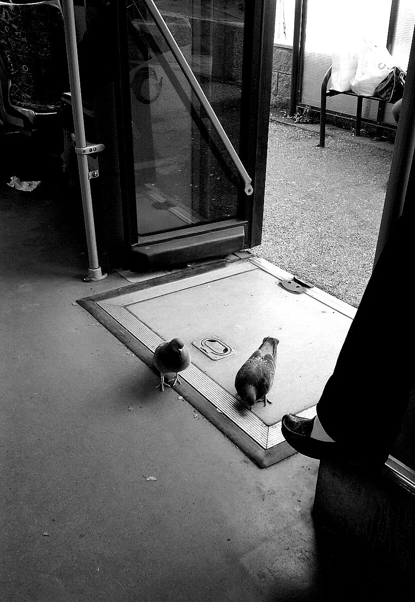 Quando lo becchi al volo!