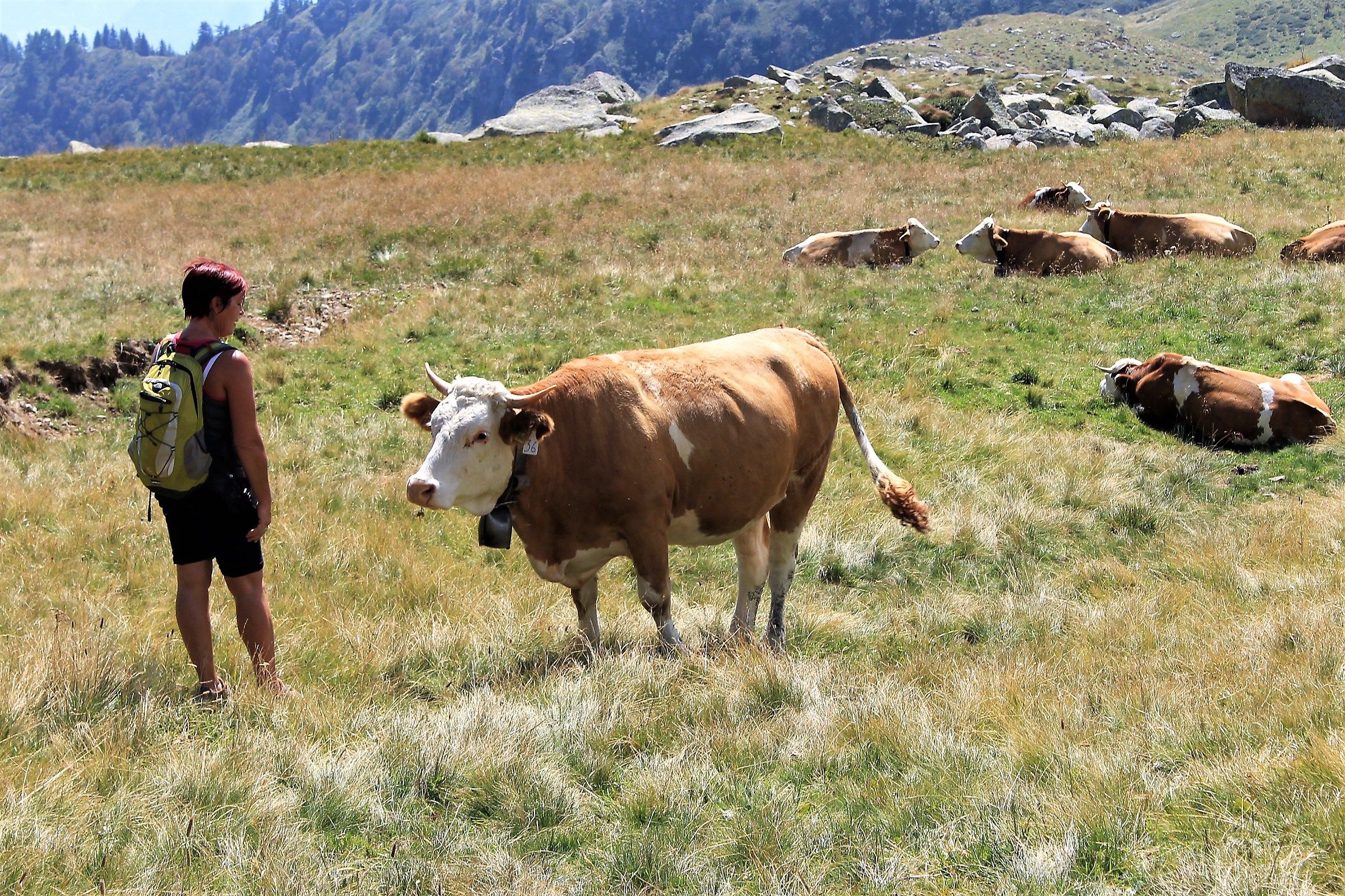 Exchange of opinions