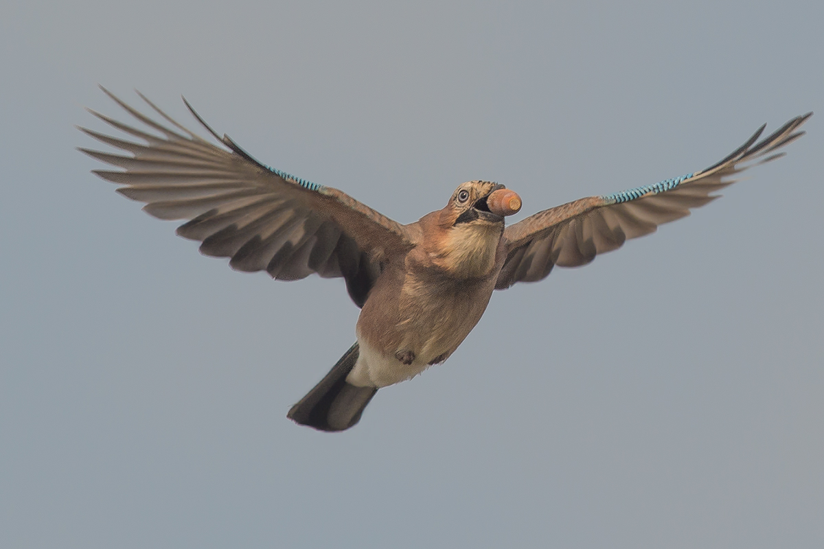 Provviste per l'Autunno