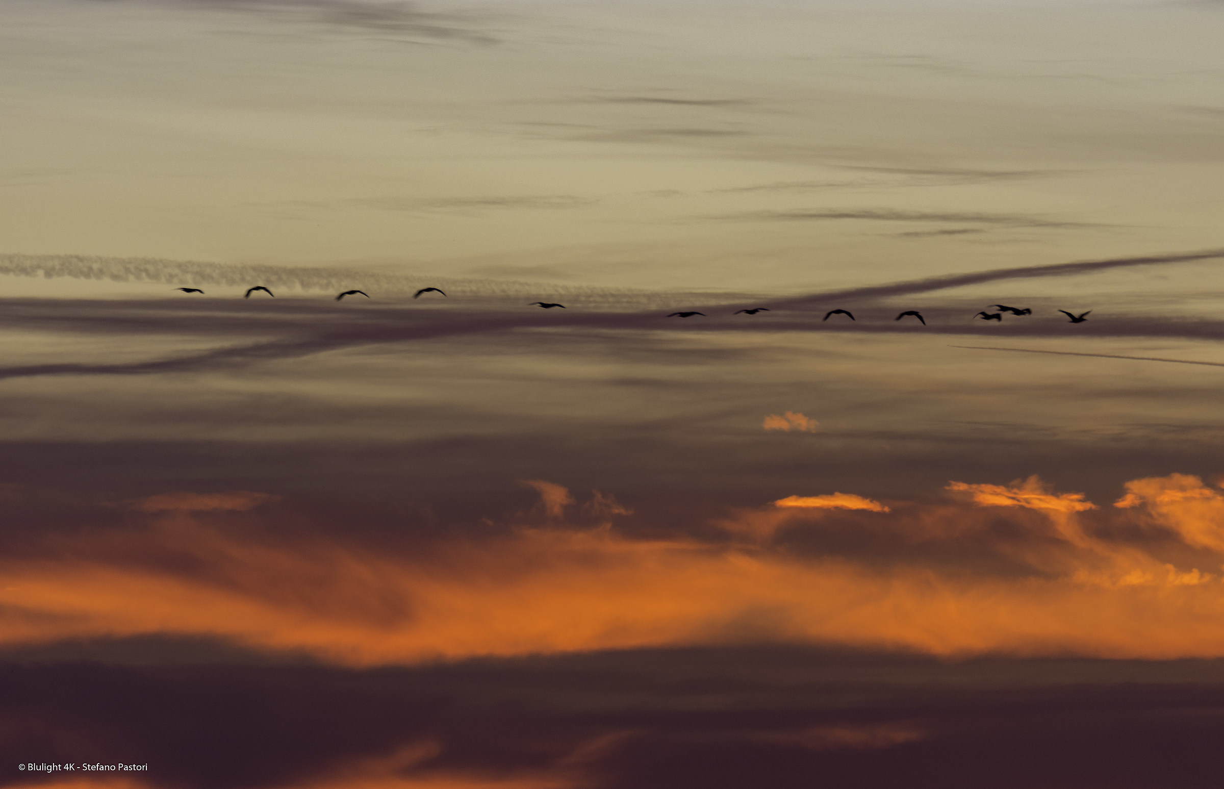 Shooting on the fly as soon as you wake up