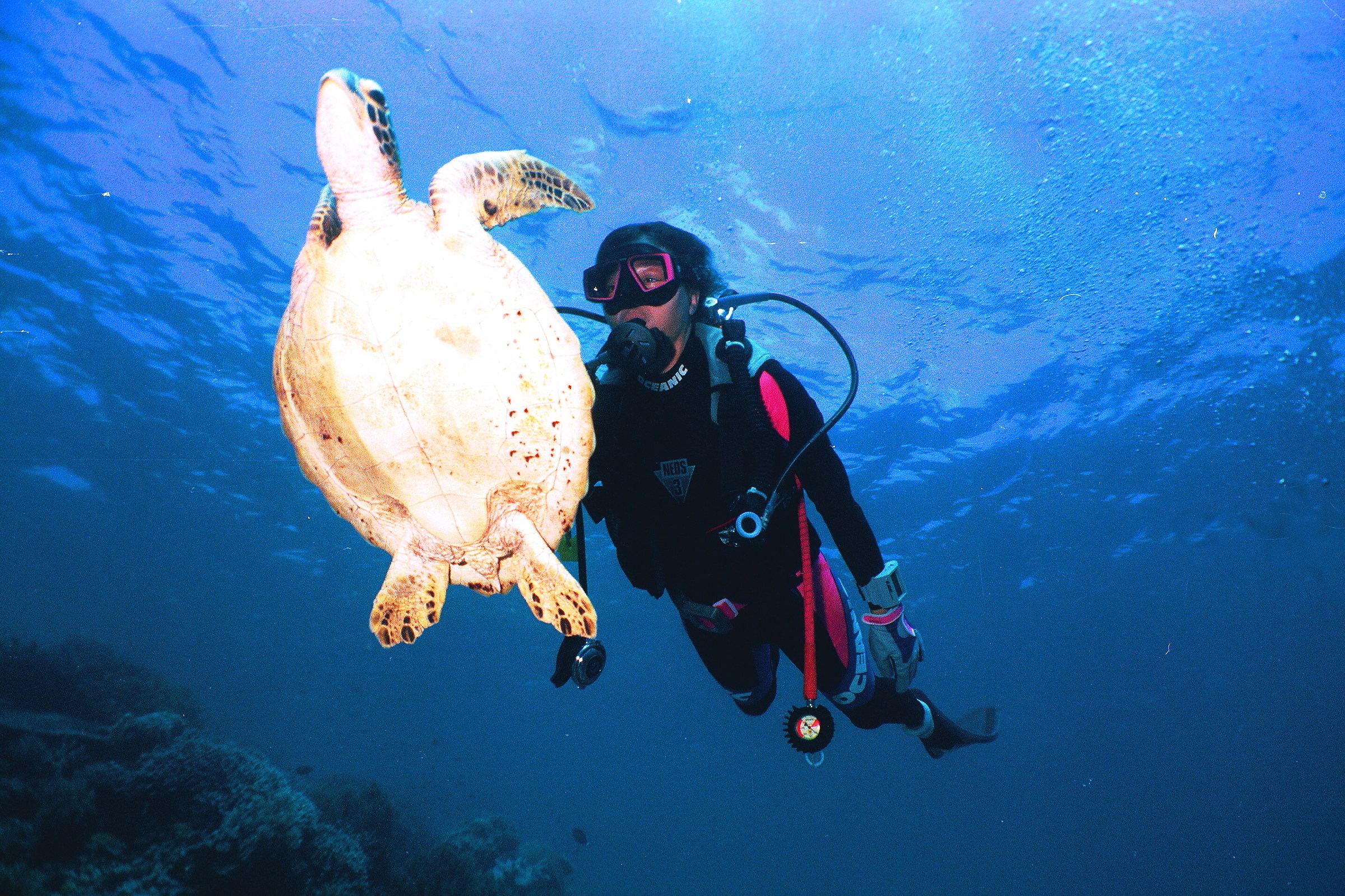 Sipadan Island, Malesia