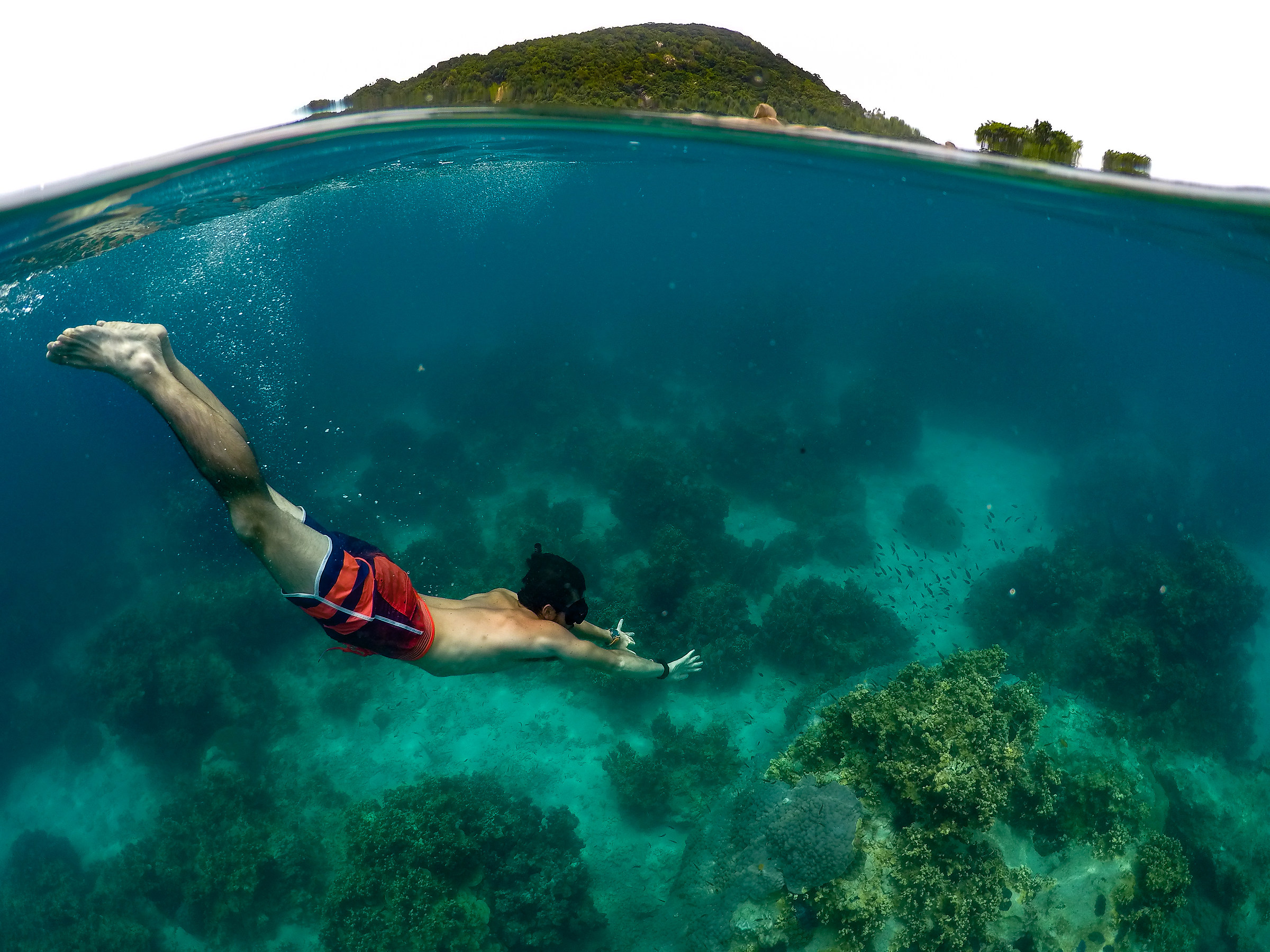 Sink beneath the ocean and you are free