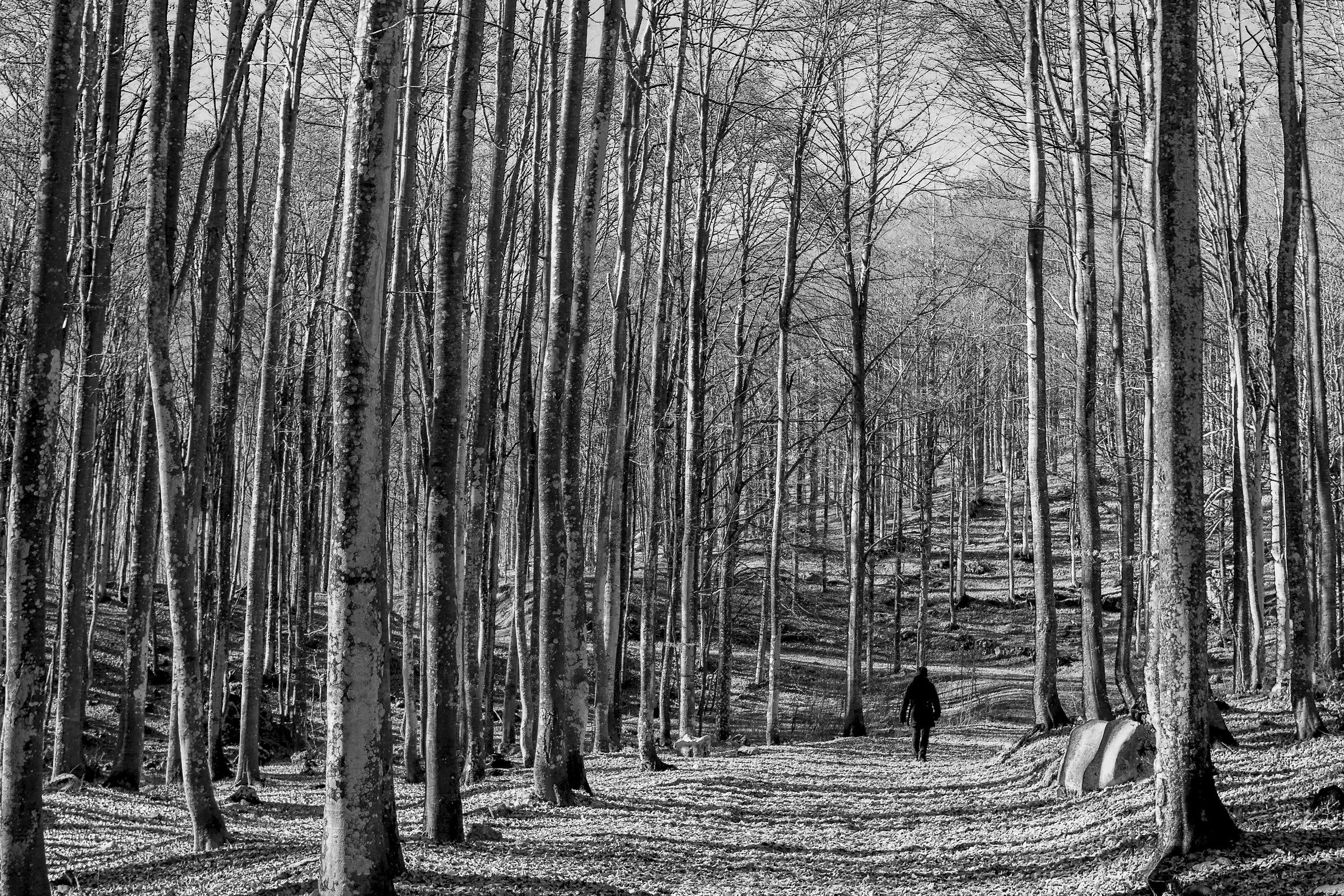 Nel mezzo del cammin di nostra vita...