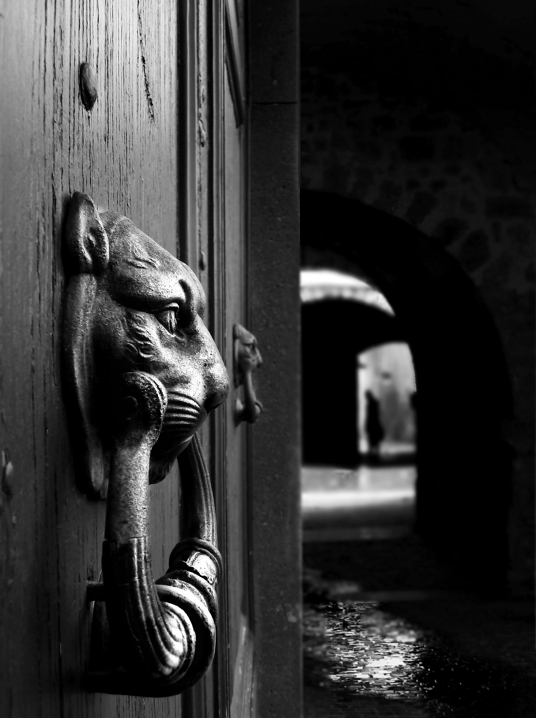 Guardiano del vicolo