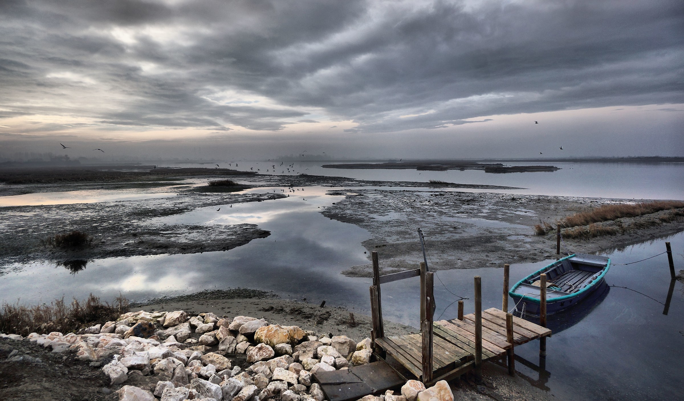 Poi il silenzio fu rotto dal verso dei gabbiani.
