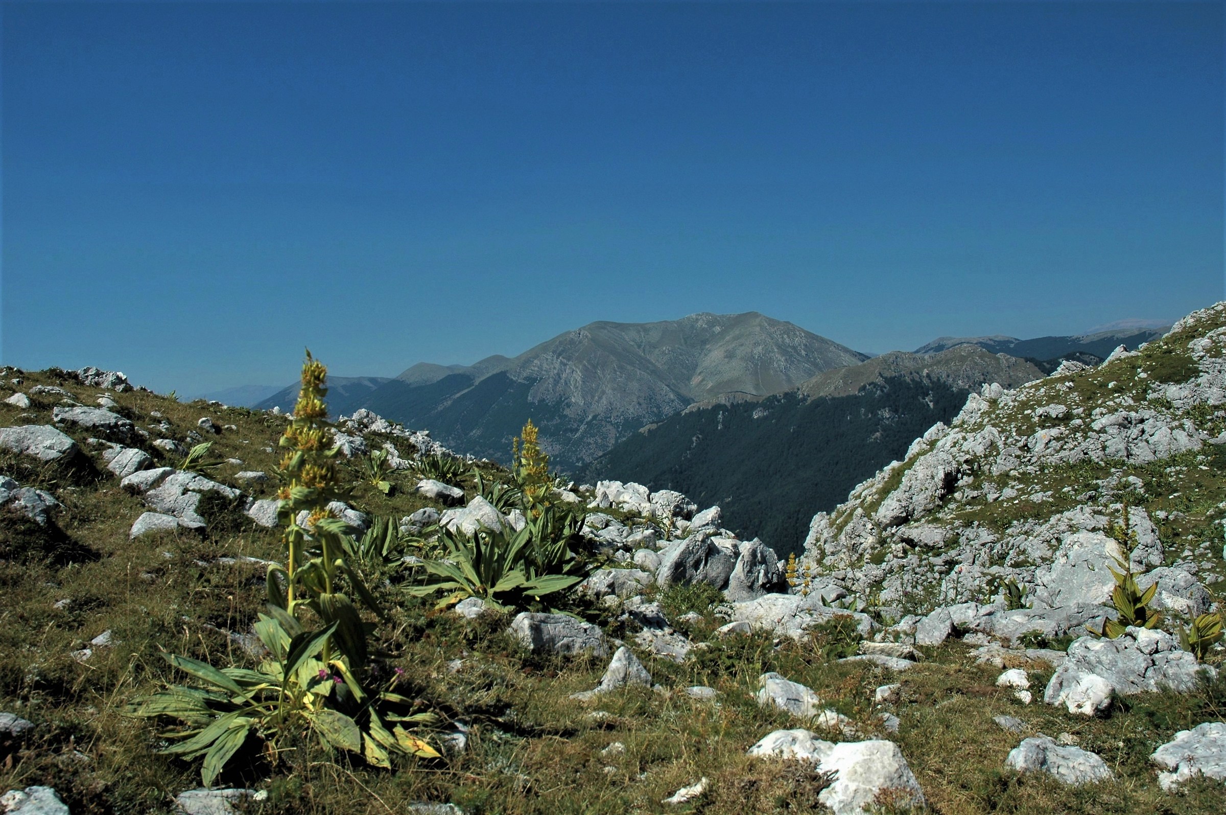 Valico delle Gravarer, PNA