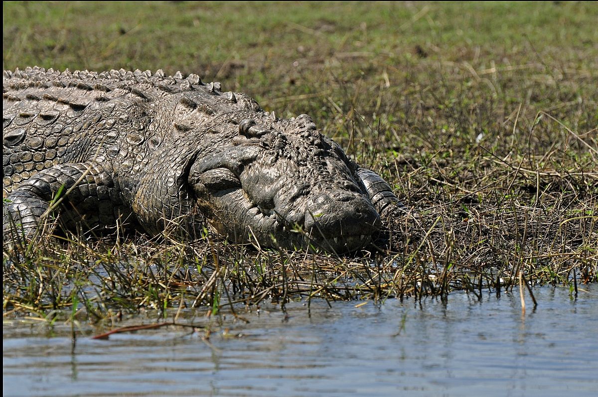 C'ho qualche ruga, ma piaccio