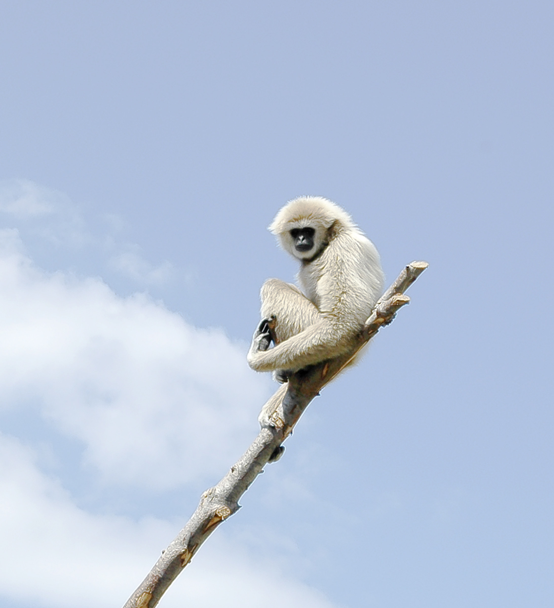 Provate a prendermi,,,