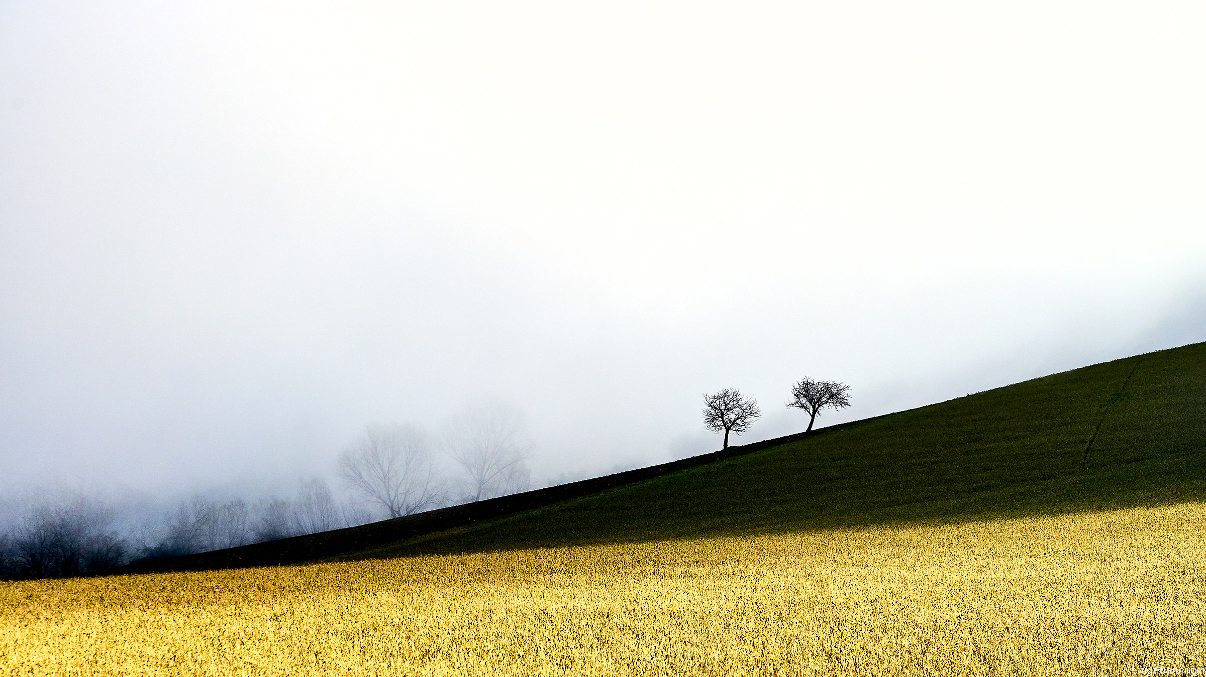 Solitary on the ridge