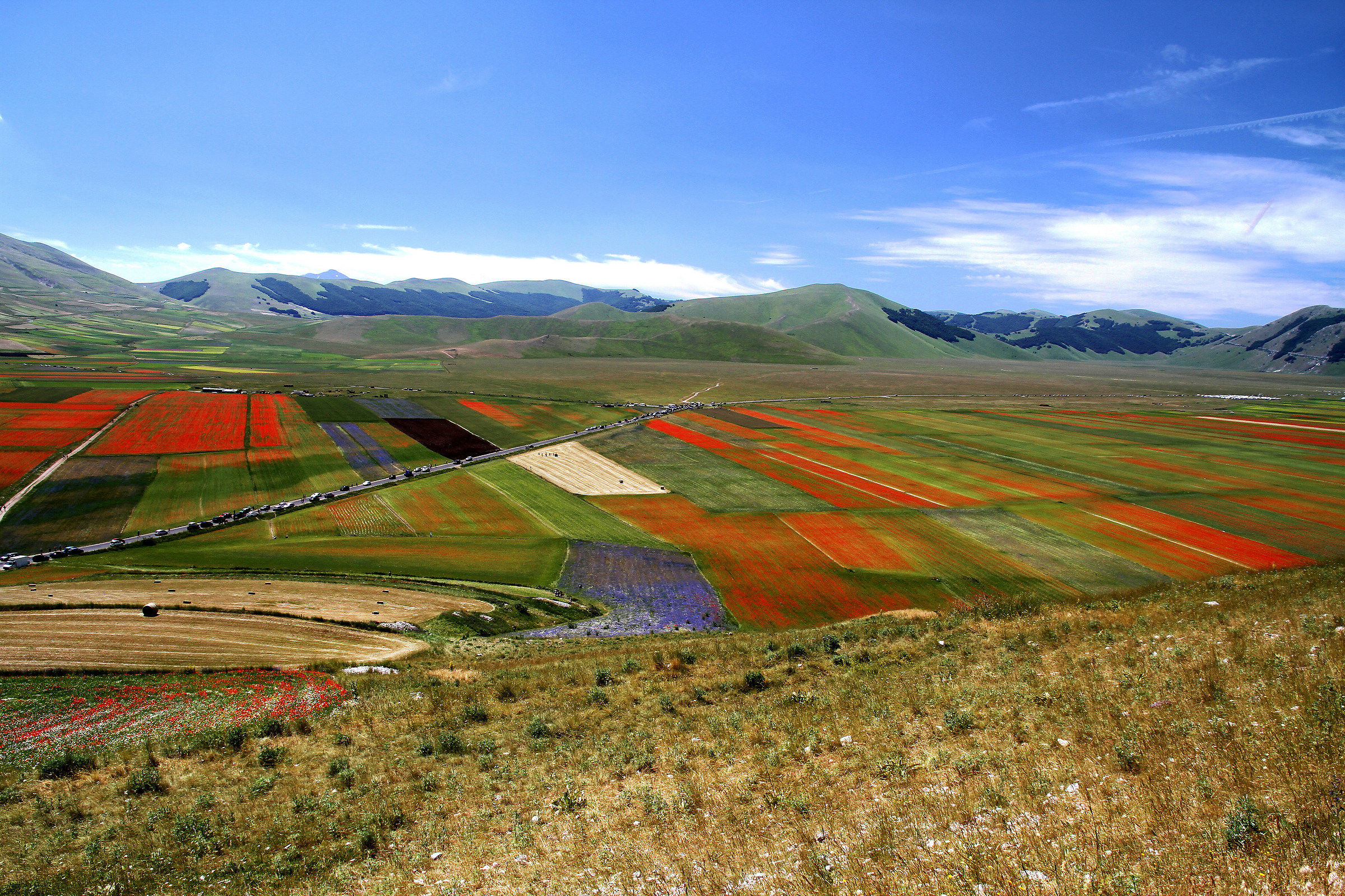 Castelluccio  la fiorita