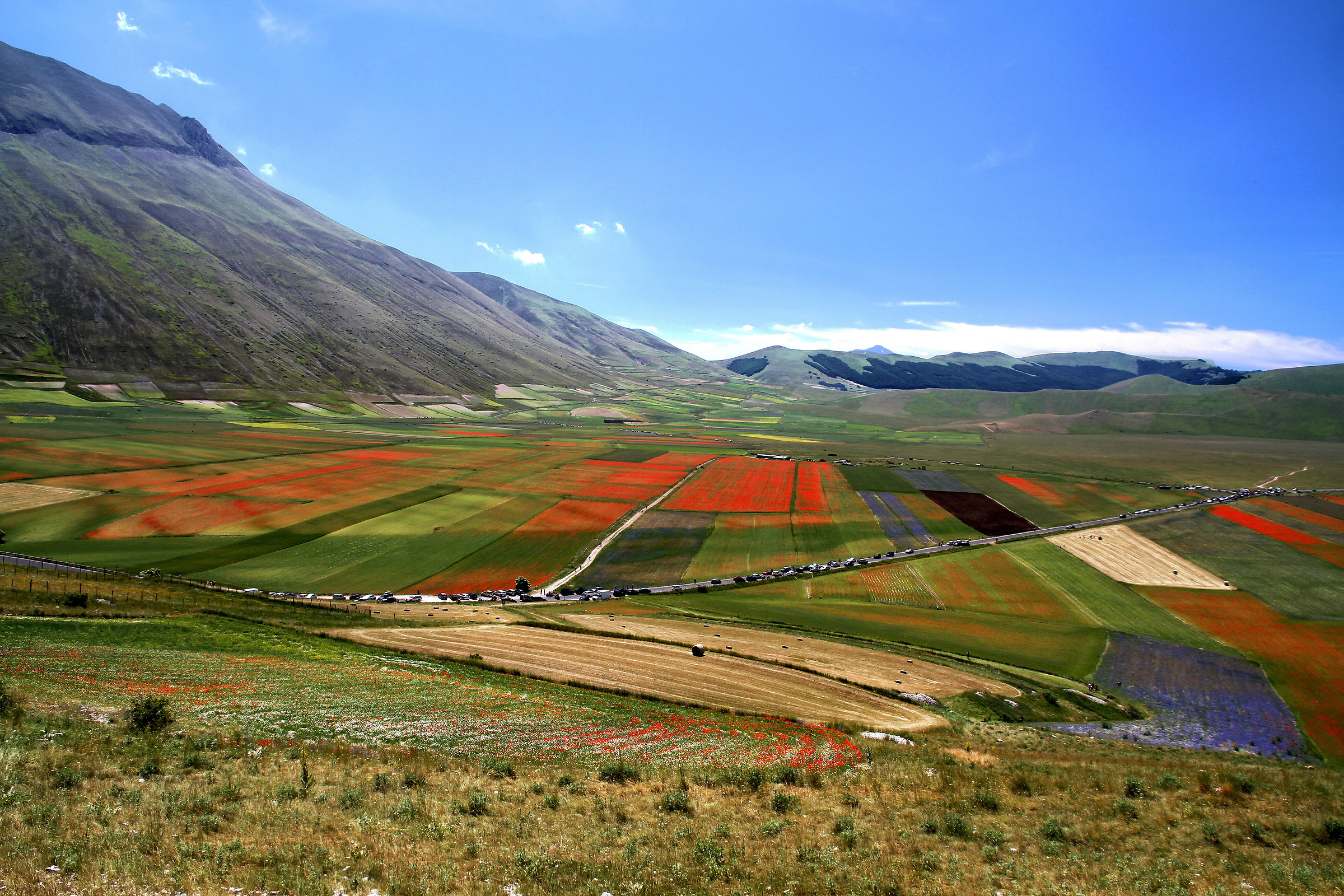 Castelluccio la fiorita