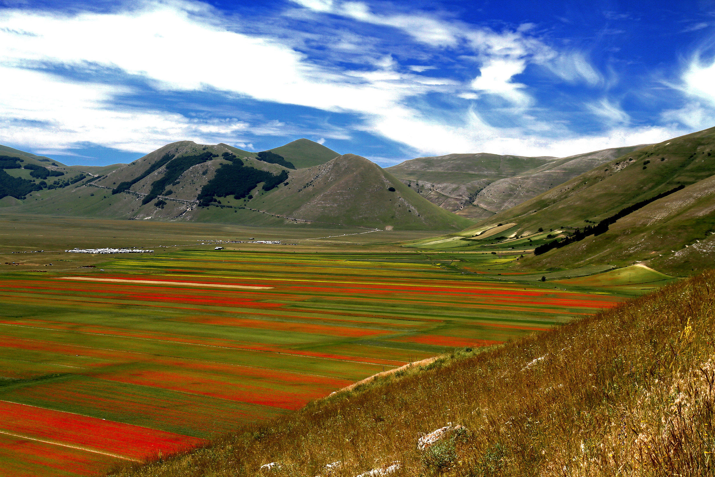 Castelluccio