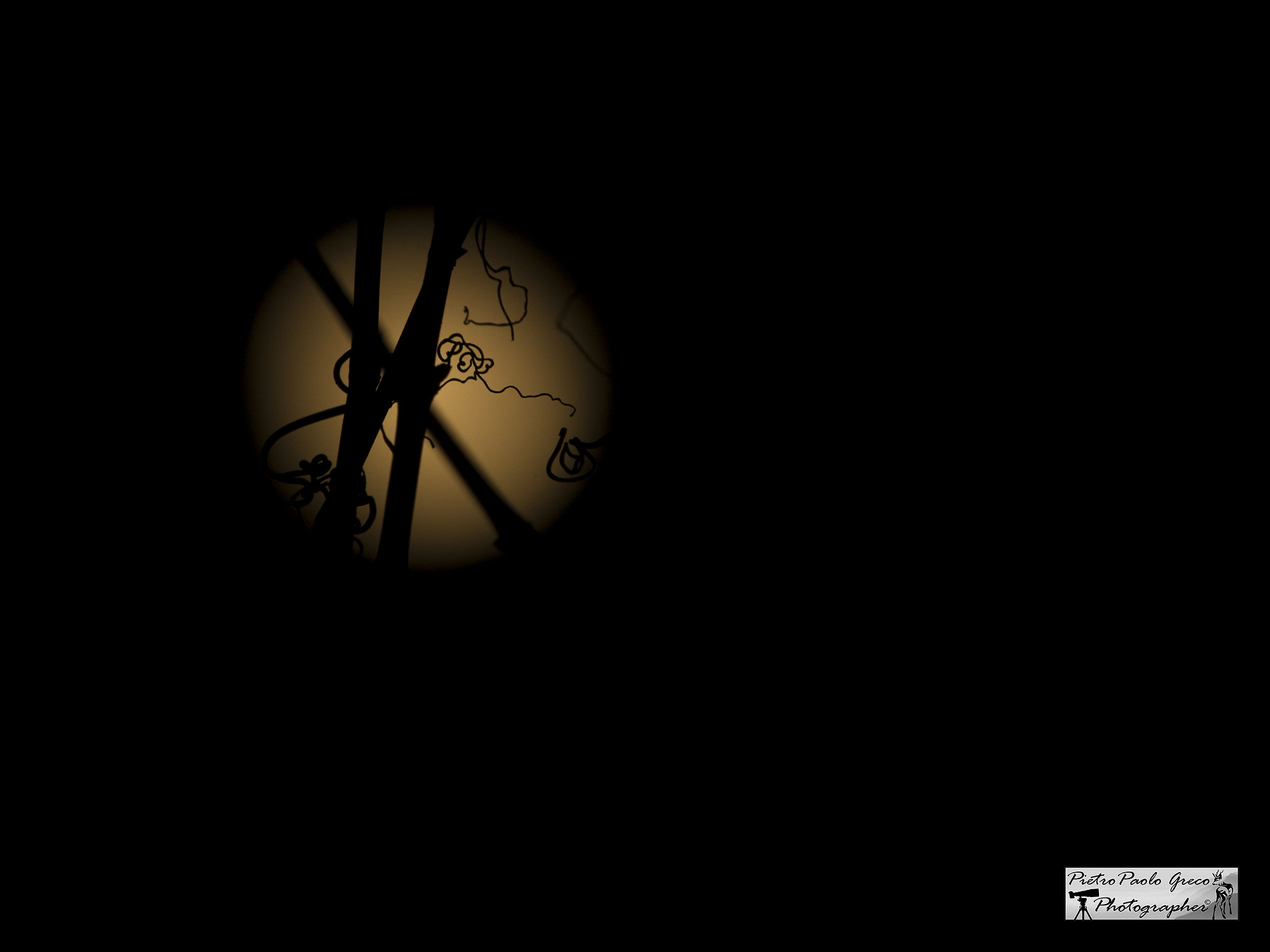 The moon in the vineyard