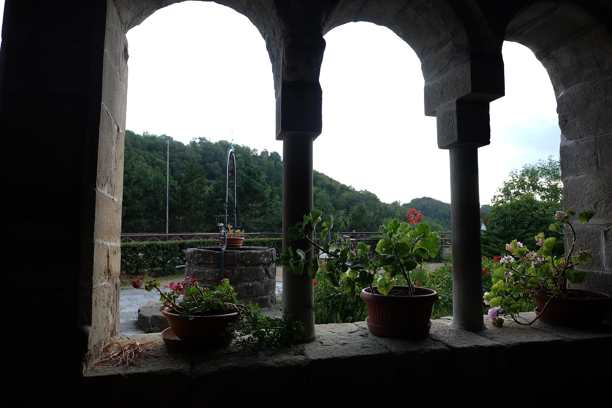 a glimpse and a look more 'in the ...