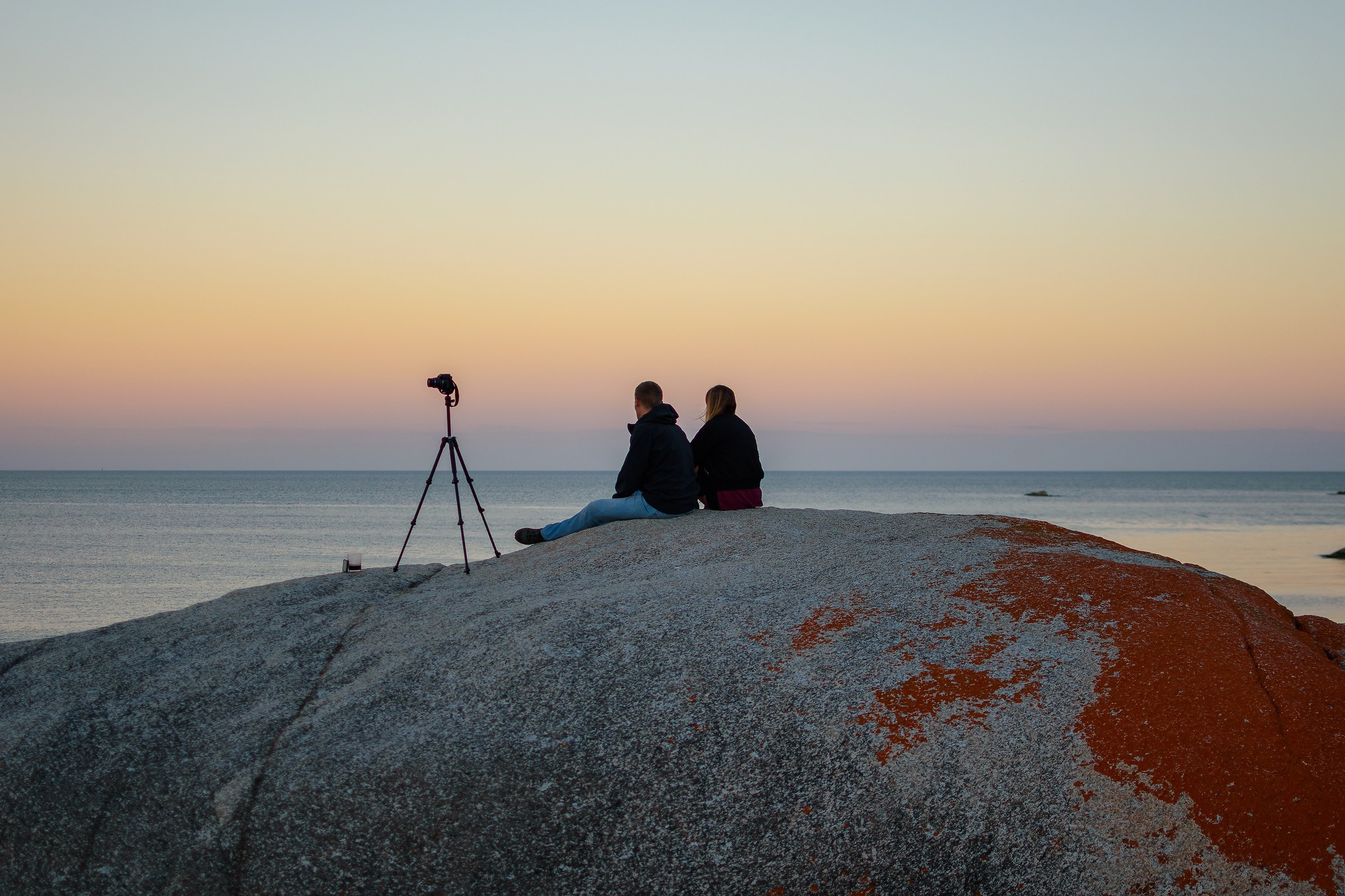 Wine, camera, company