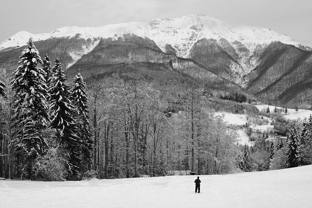 The snow .... what a show