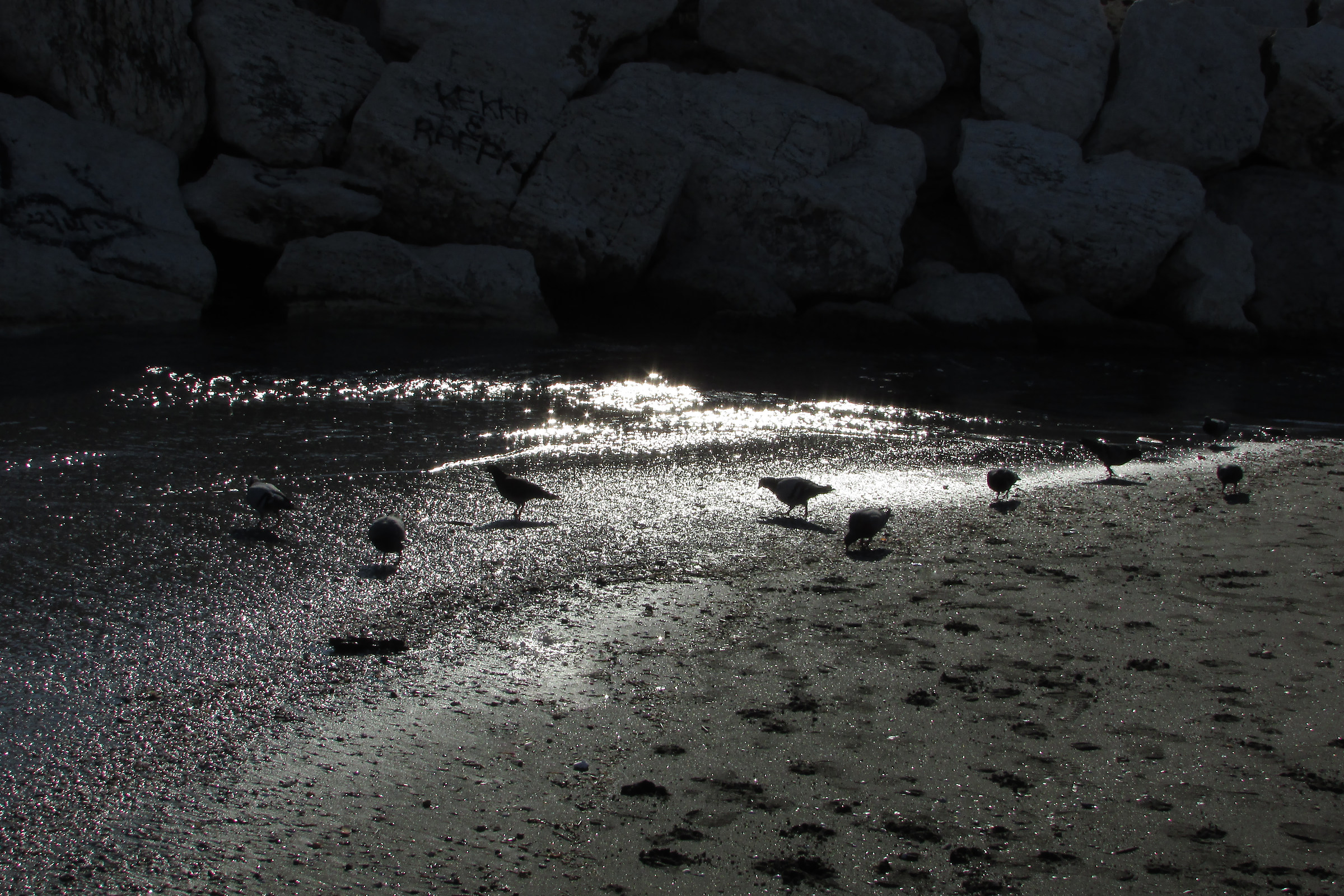 Sulla Riva Argentata