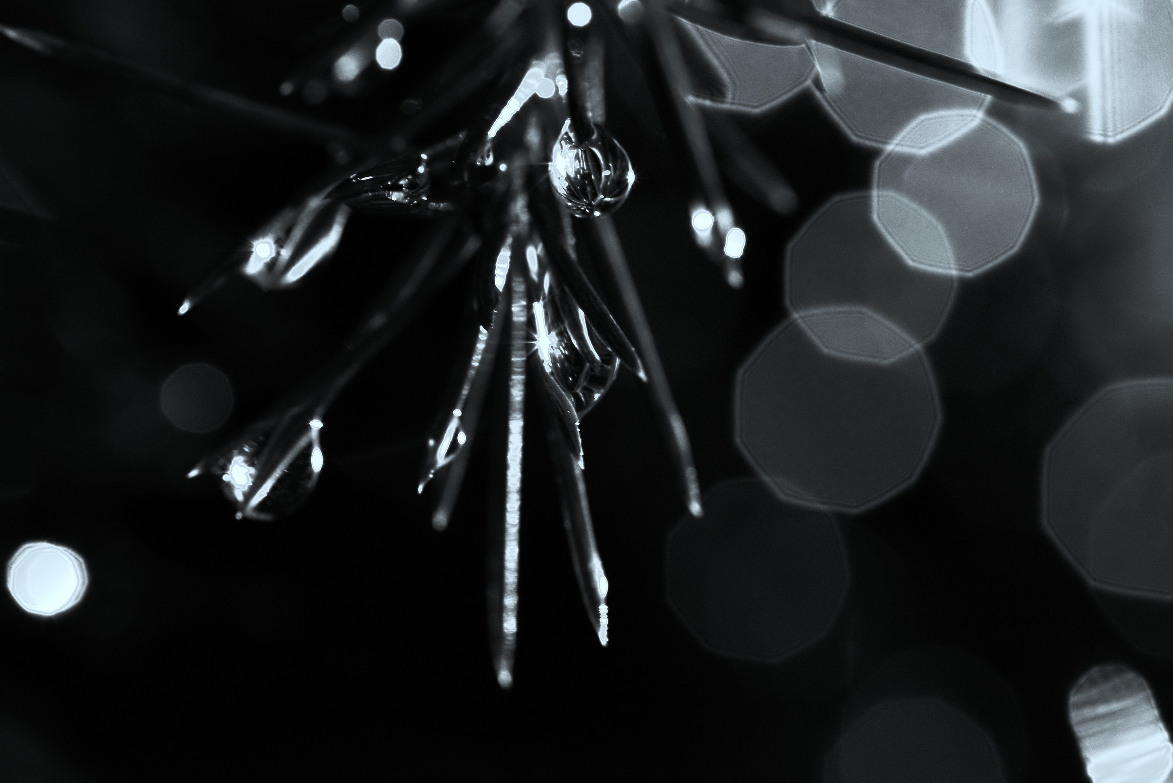 bagliori nella notte piovosa