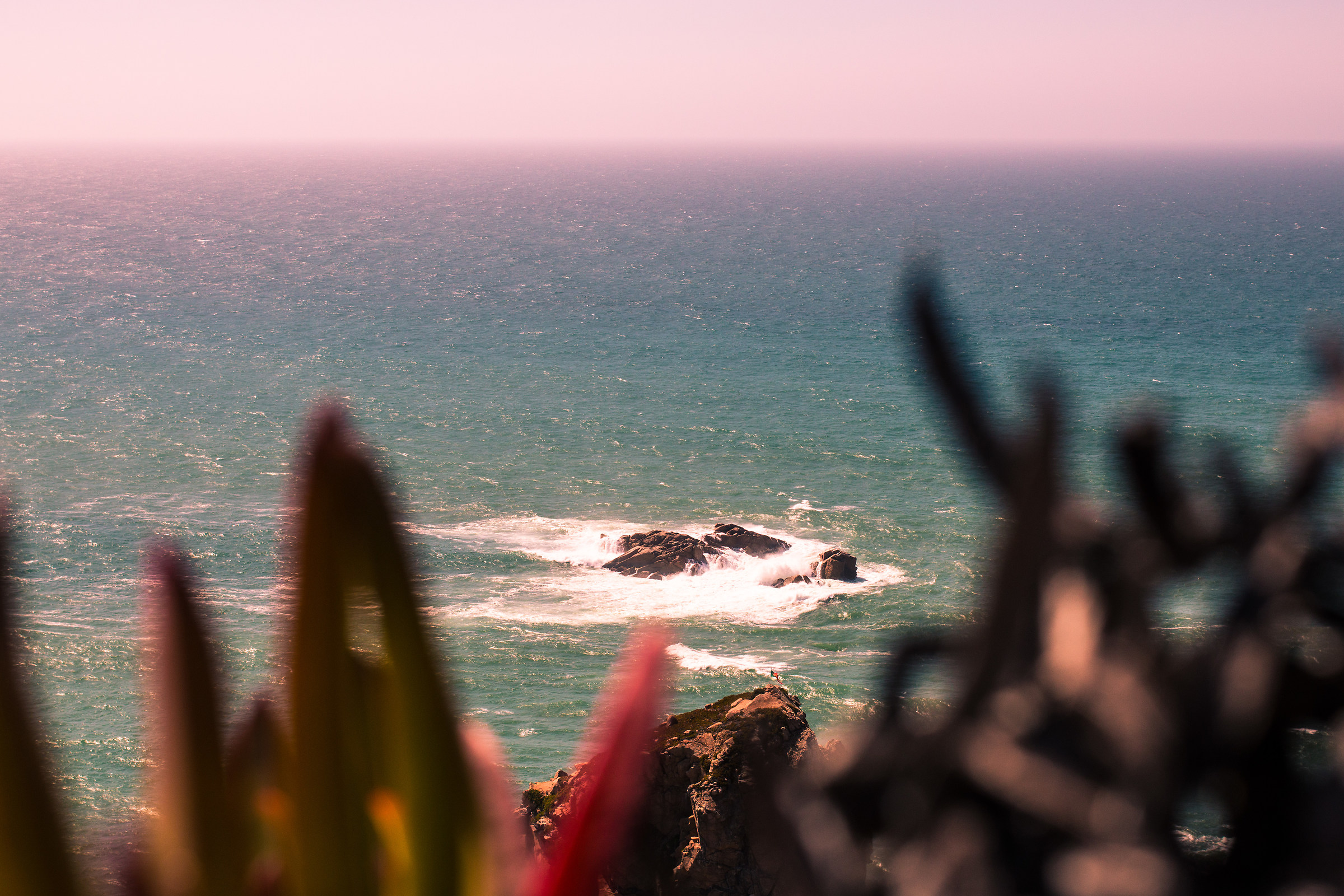 A view through nature