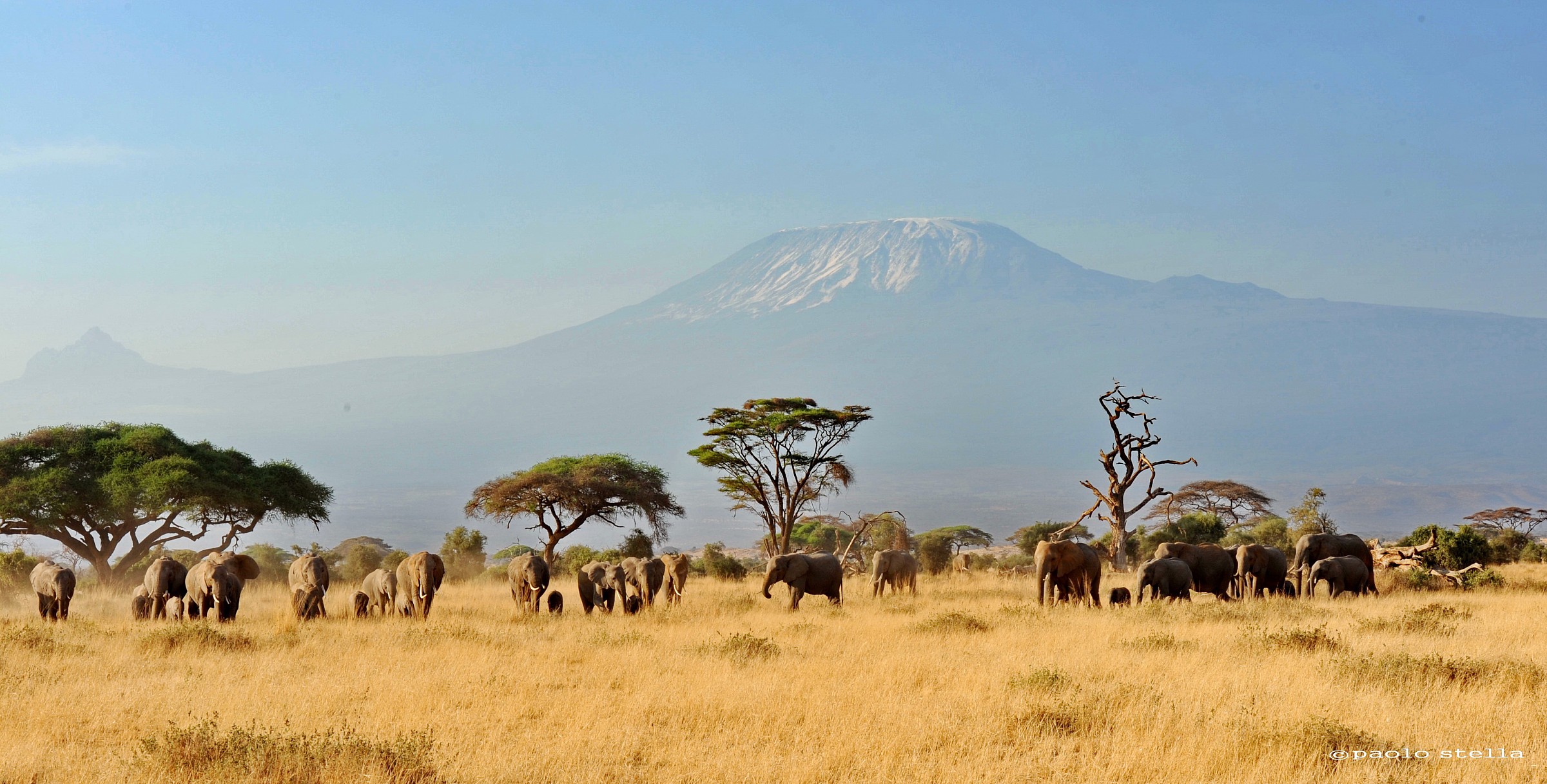 Kili with elephants on the back