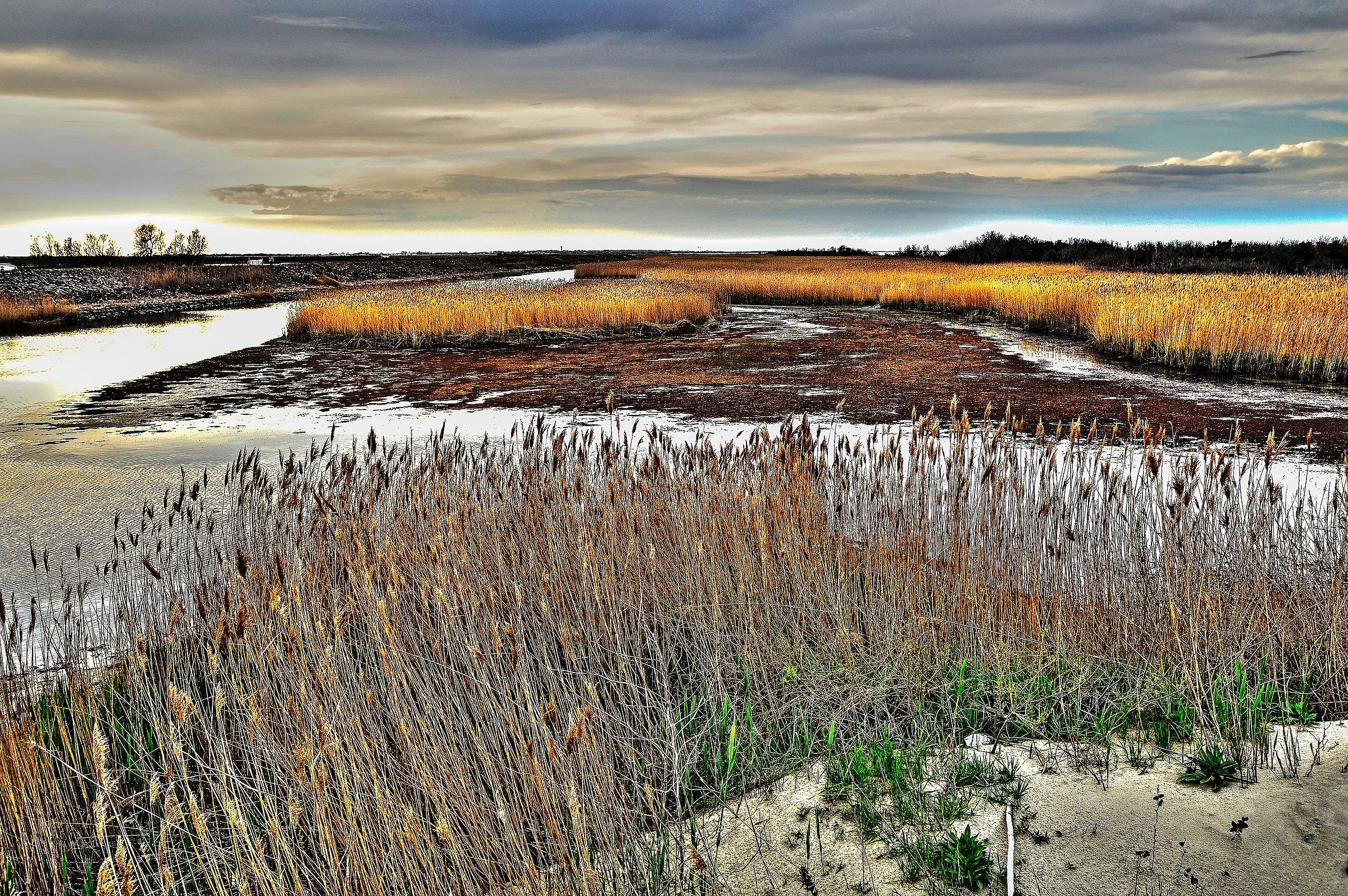 paesaggio su delta