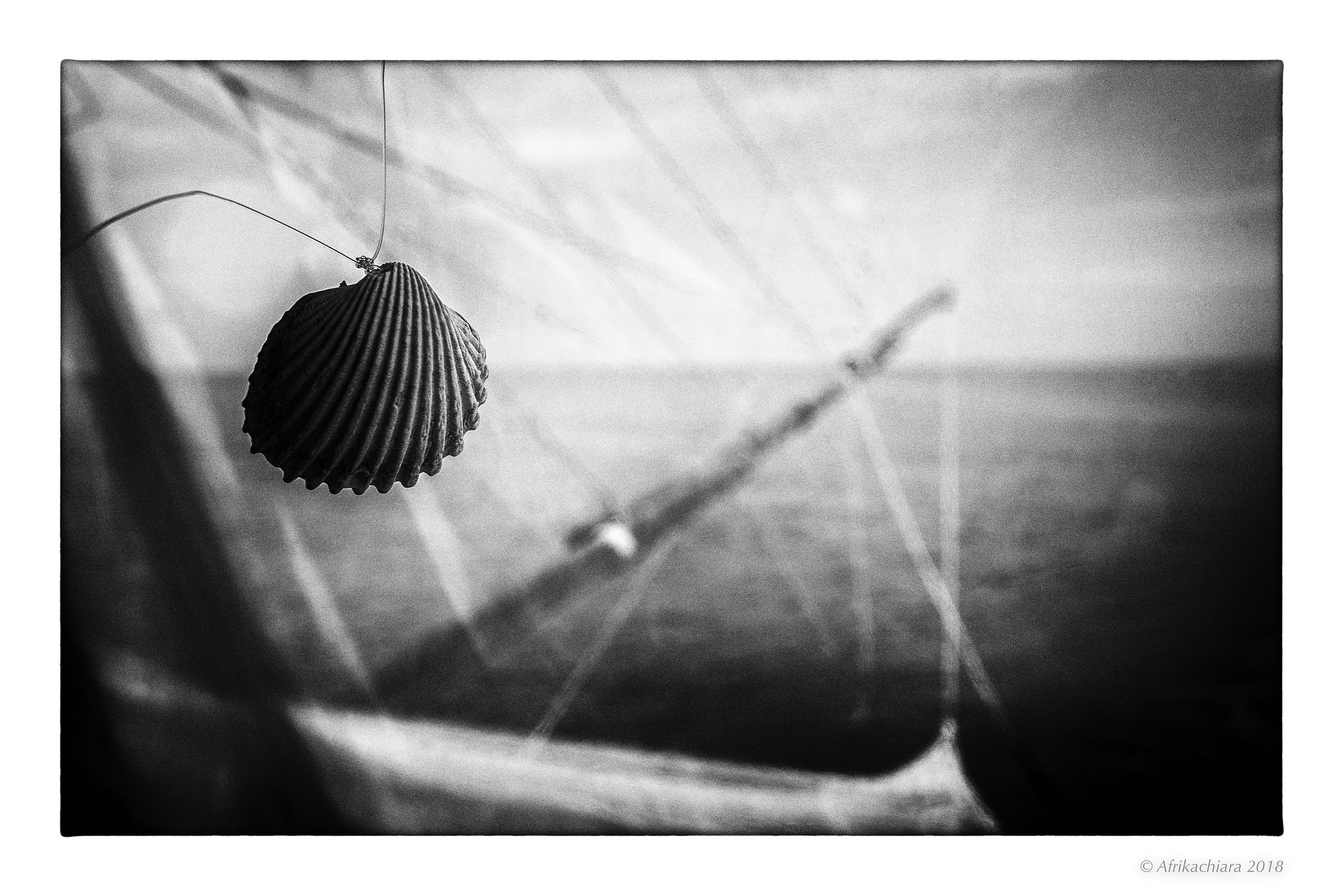 The echo of the sea ...