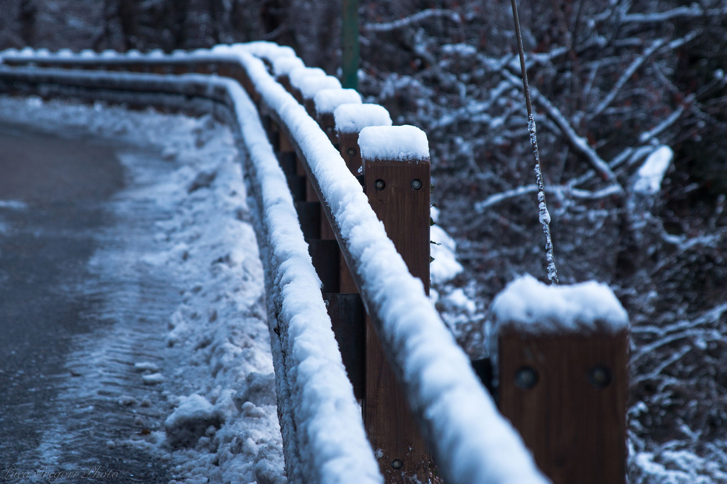 Snow-covered fence