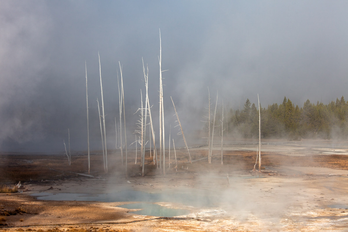 Norris Geyser Basin