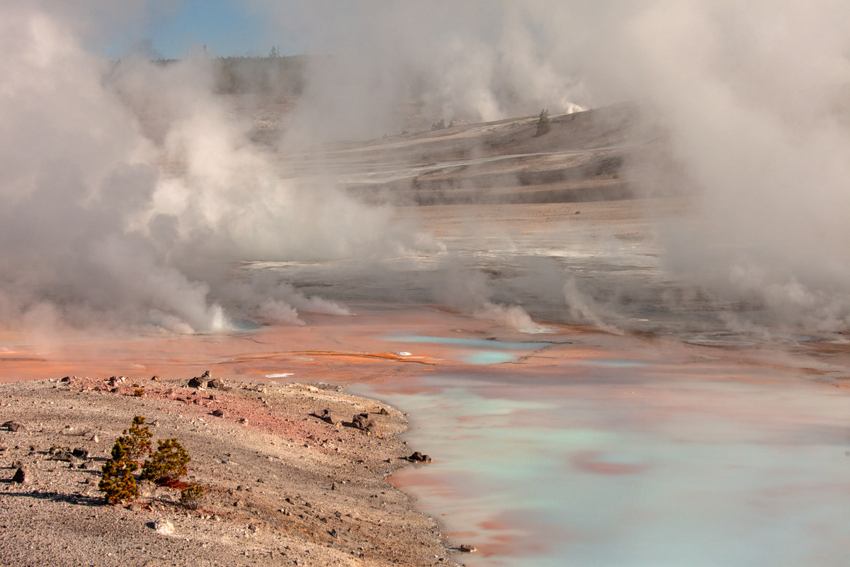 Norris Geyser Basin