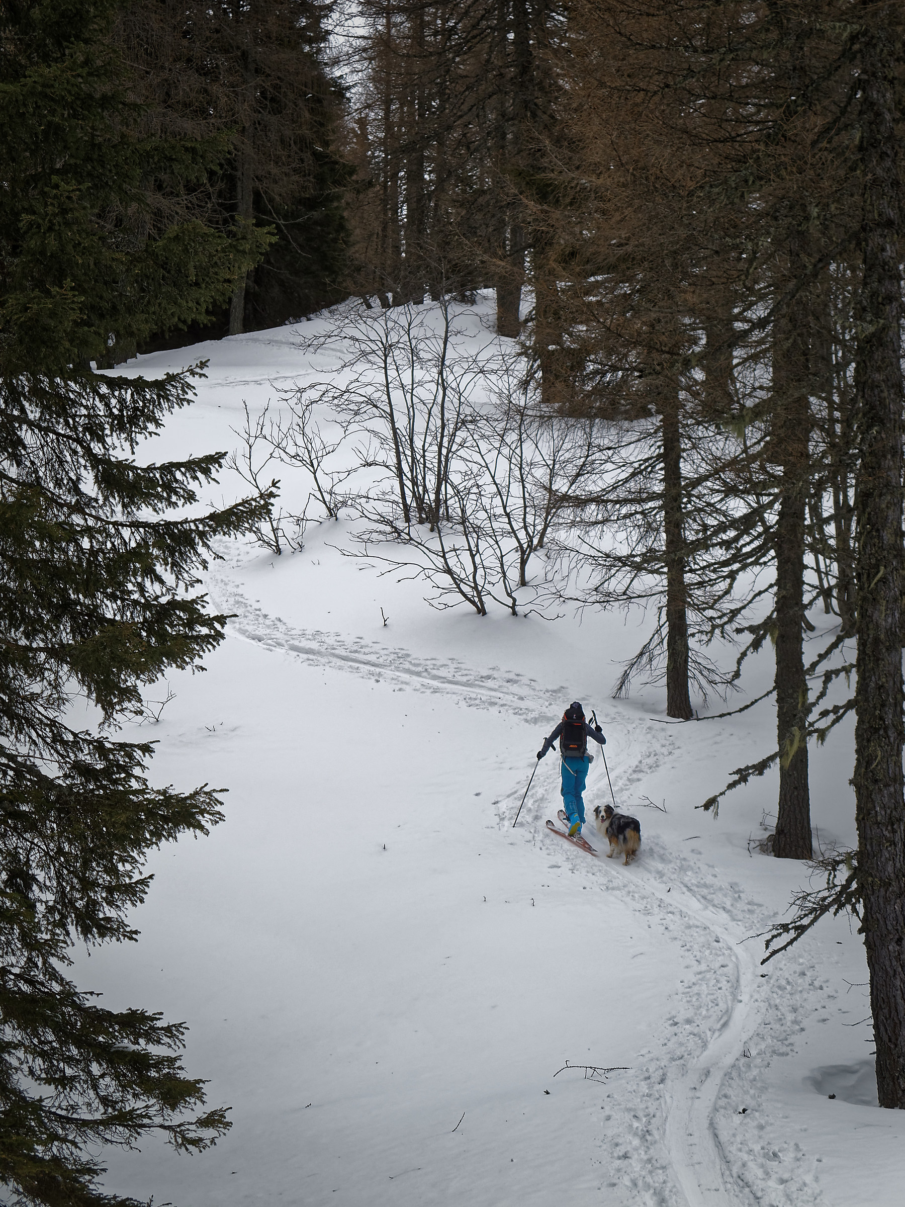 Up the hill ... in company!