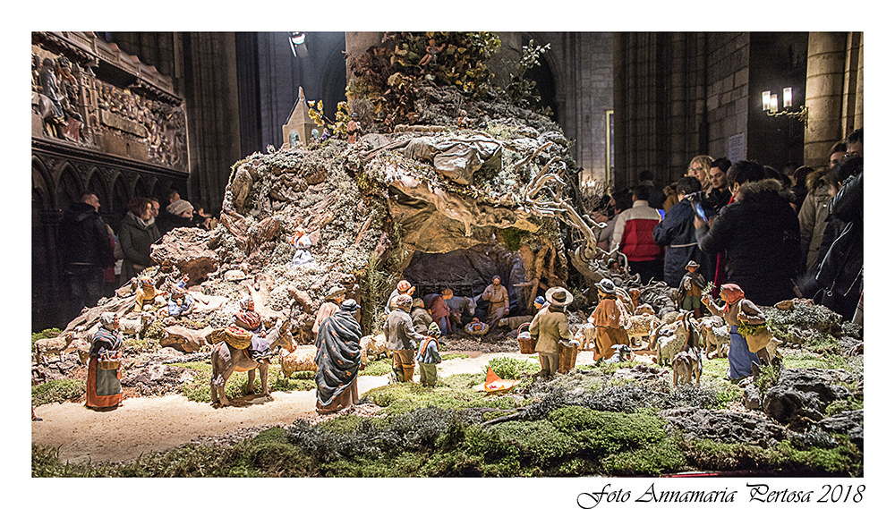 The nativity scene in Notre Dame de Paris