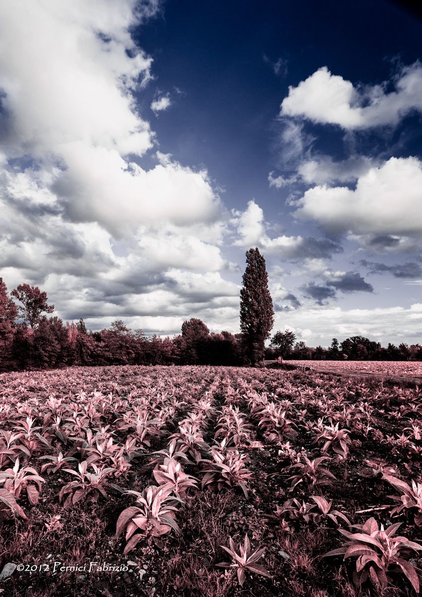 Paesaggio IR foto 1