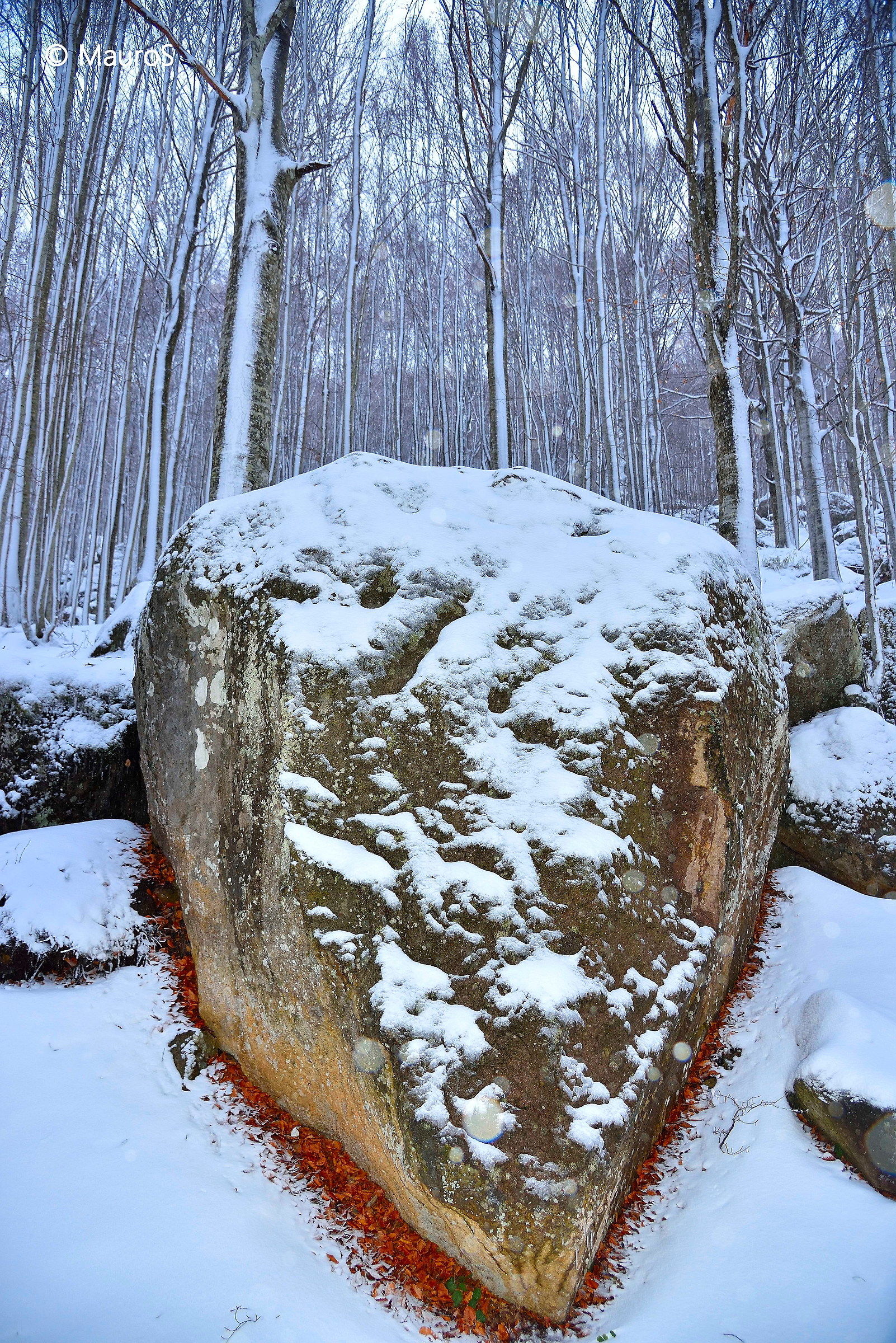 il Cuore dell'Amiata