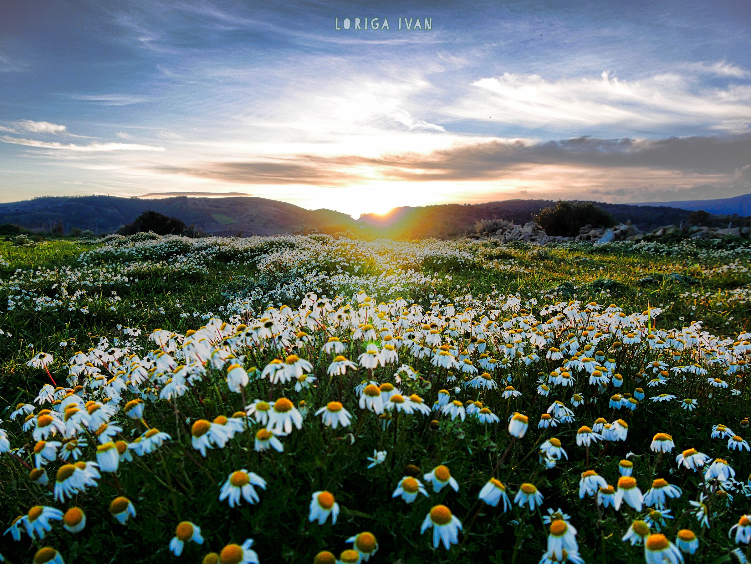 Perspectives of a sunset