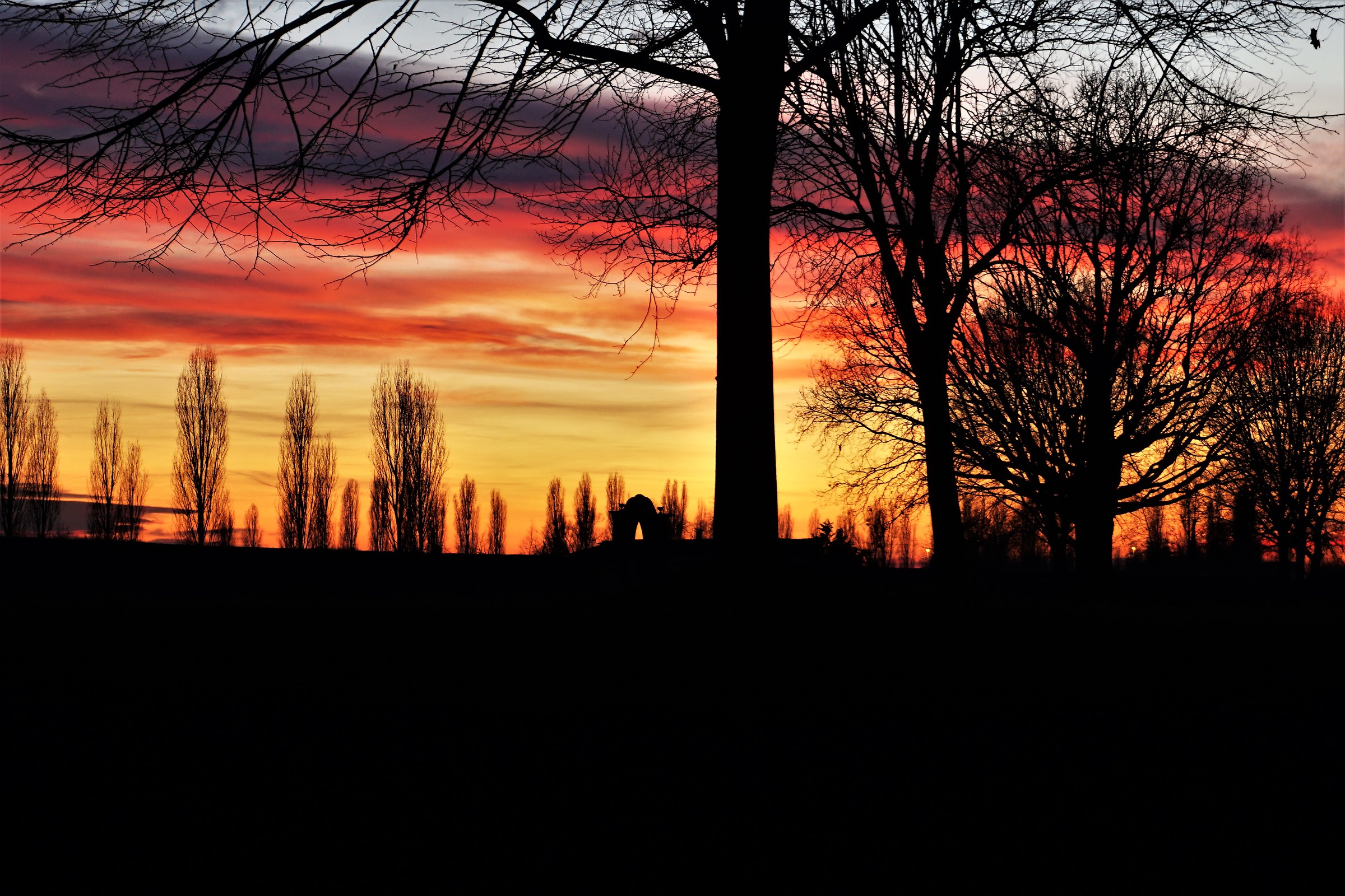 Red in the evening ....