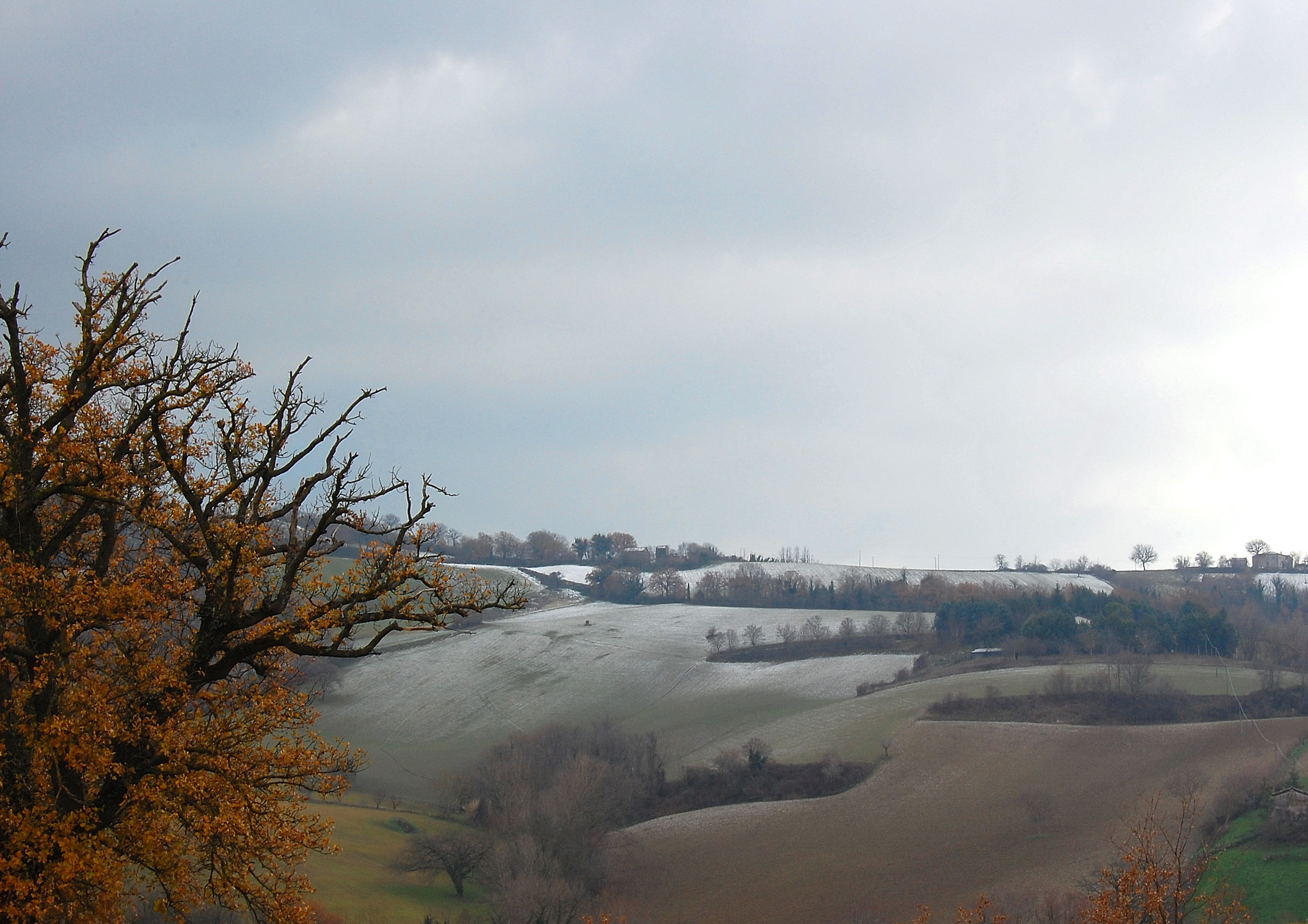 Marche hills: winter shades