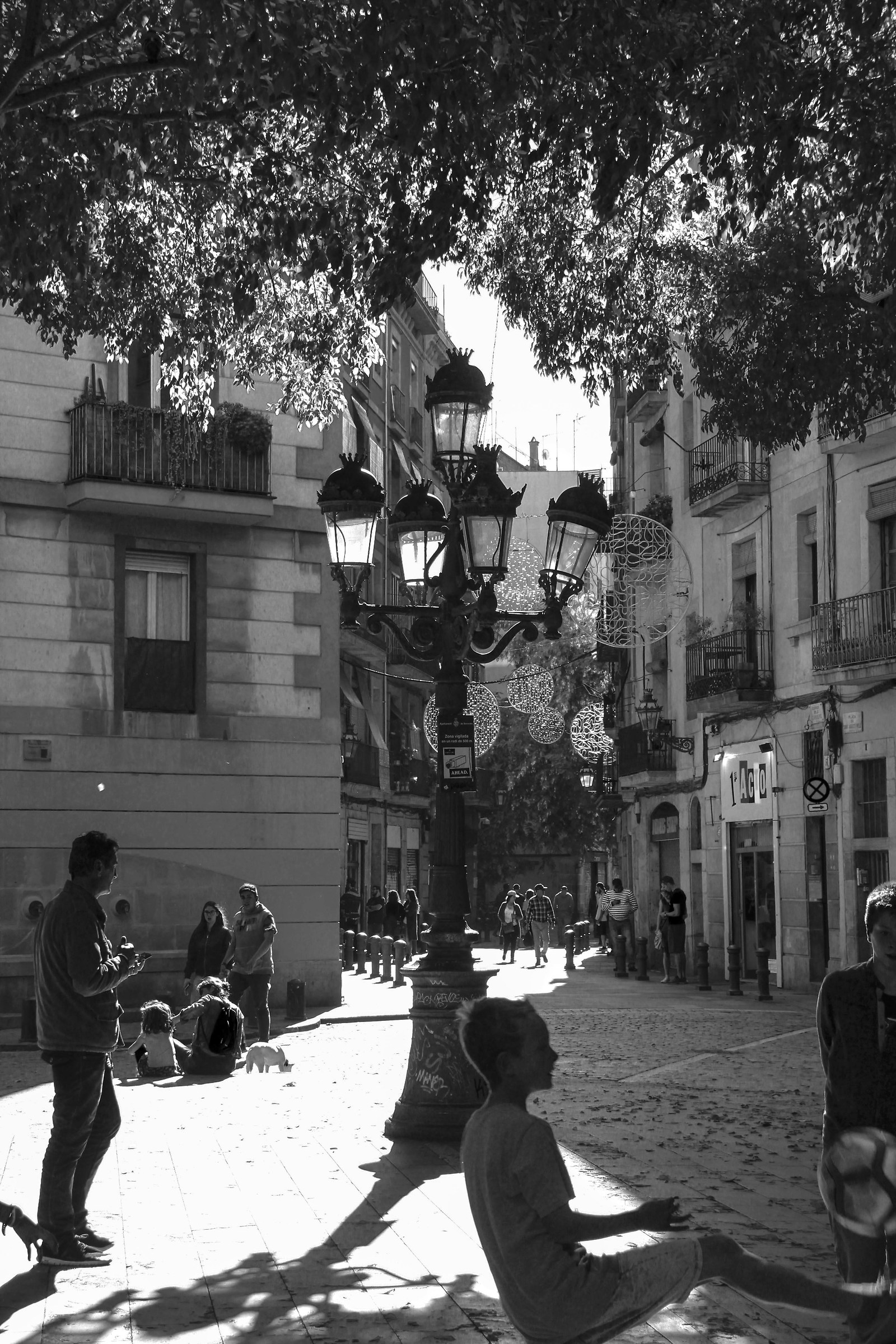 Barcellona   Il Born