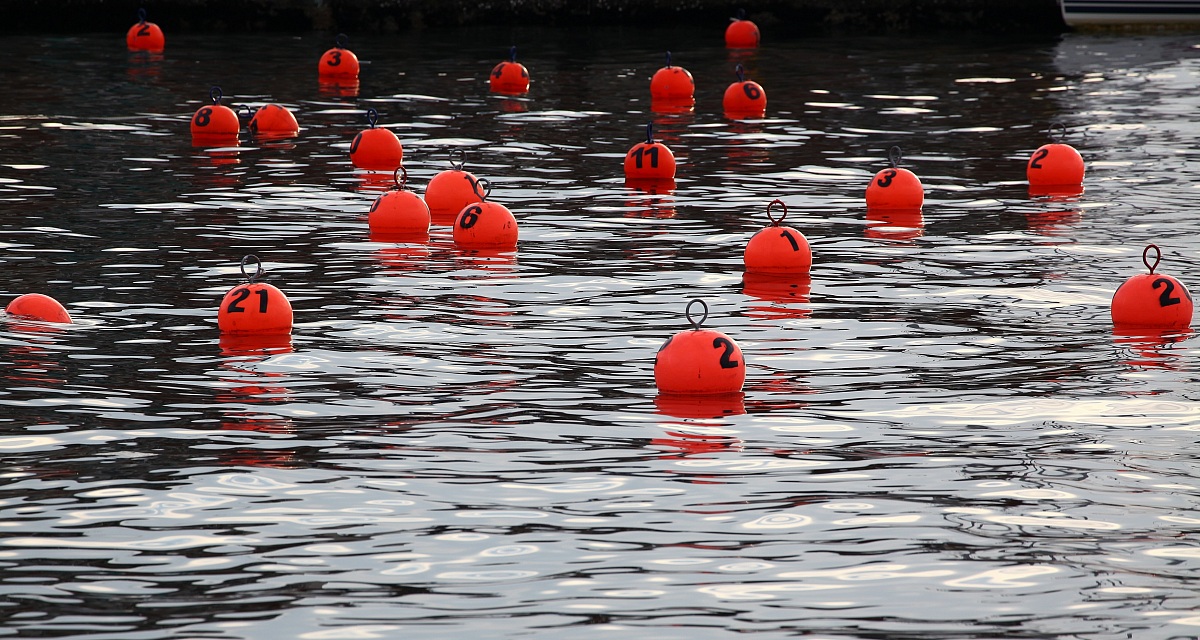 Parking Barcolana 2012