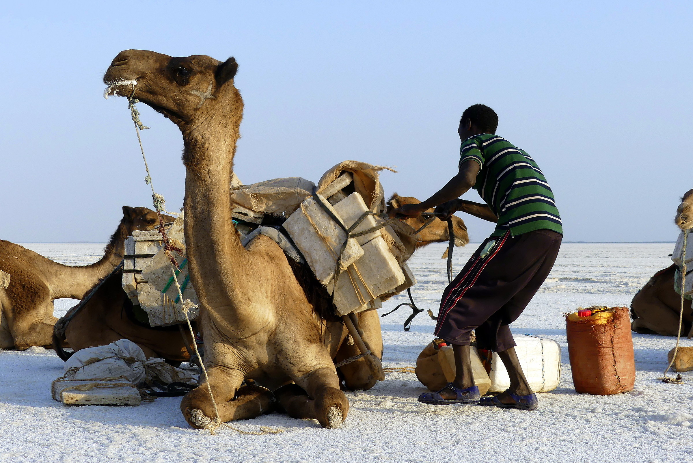 loading for the transport