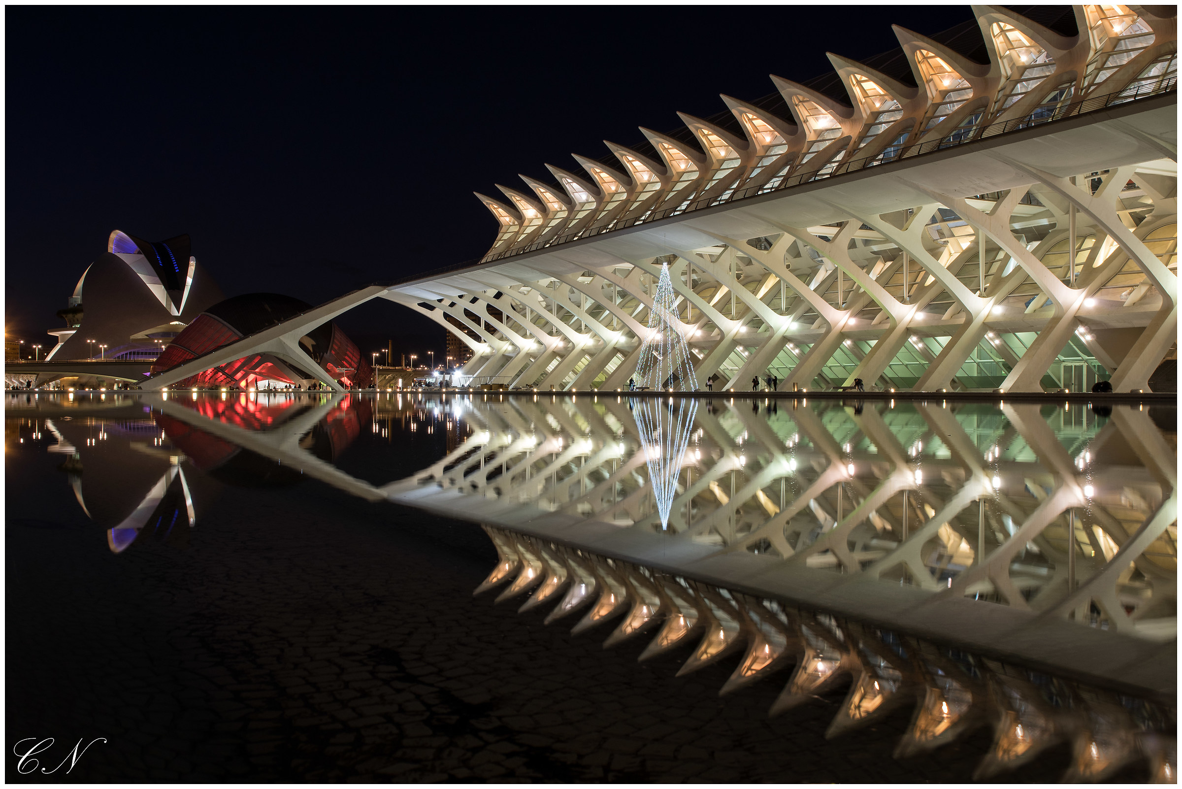 City of Arts and Sciences. Valencia.