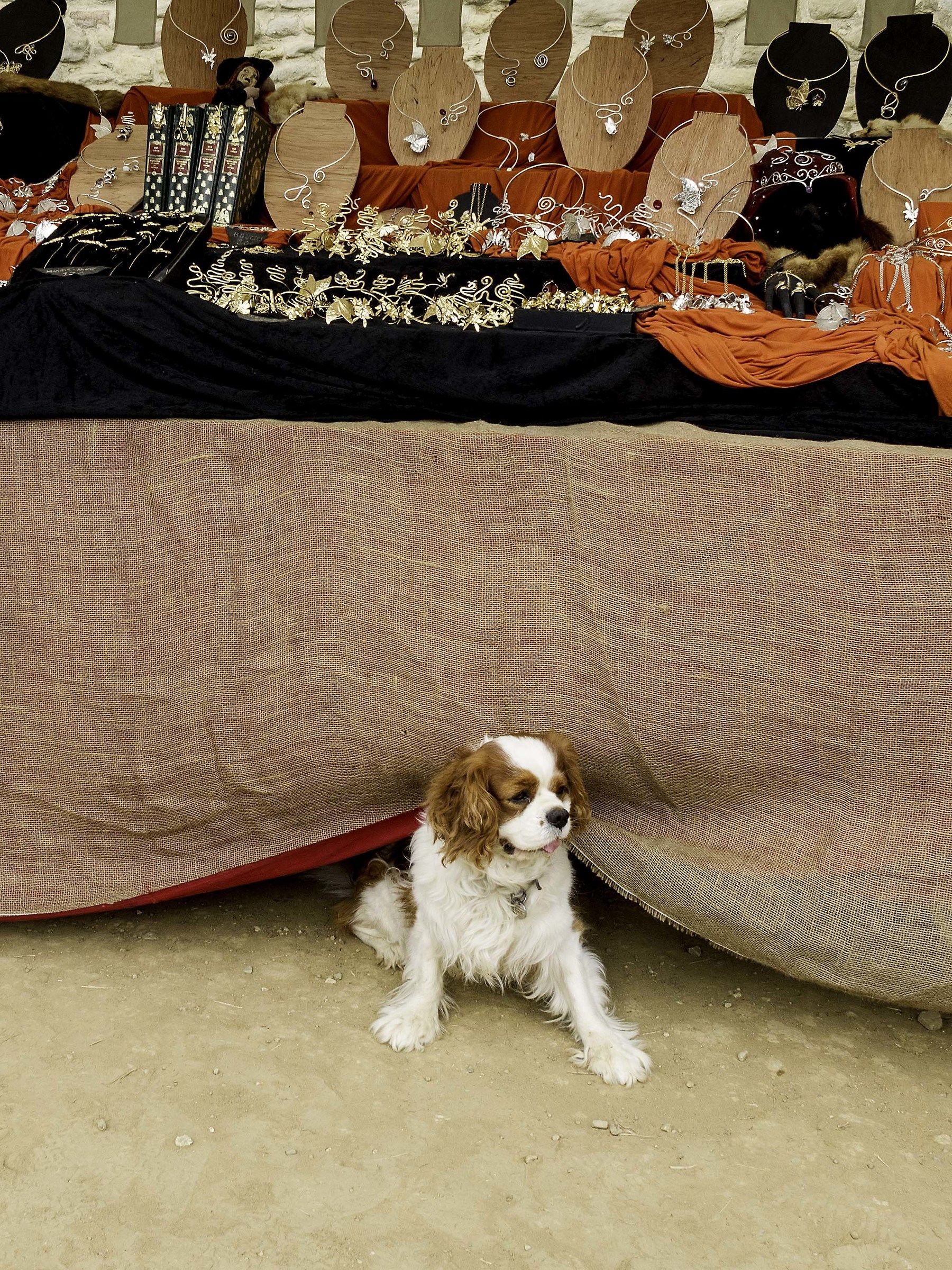 Go to eat, the desk I look at him!