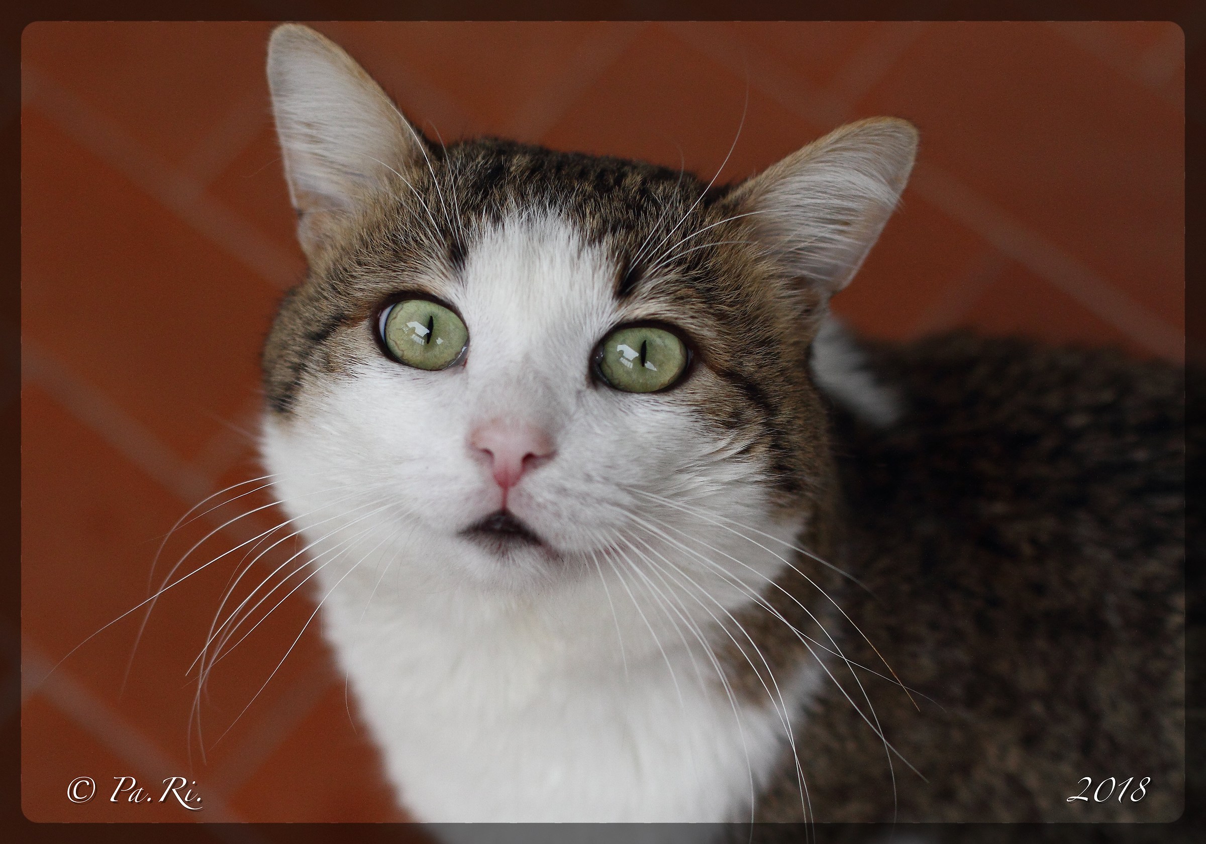 I was looking for you.