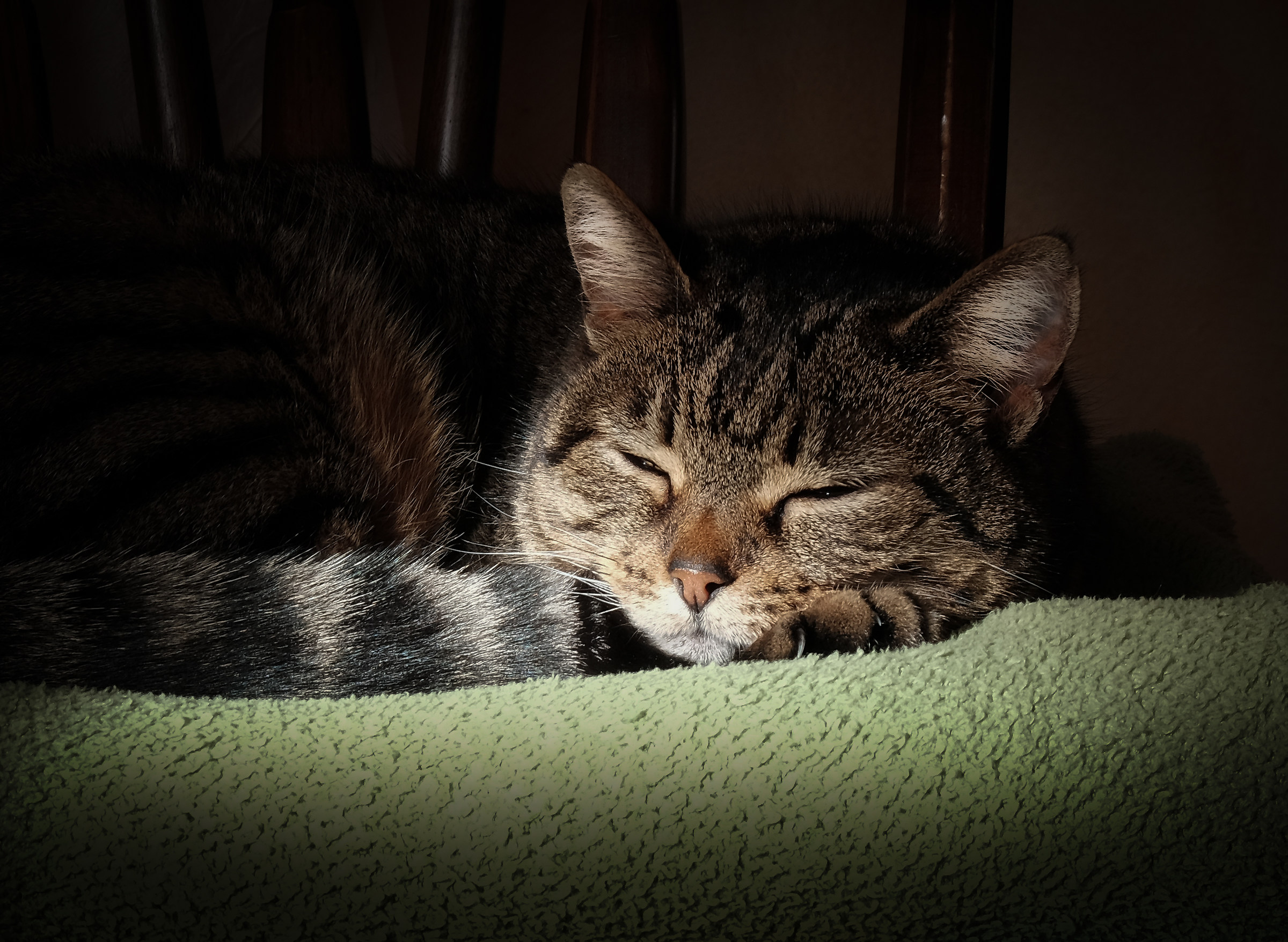 il riposo dei giusti