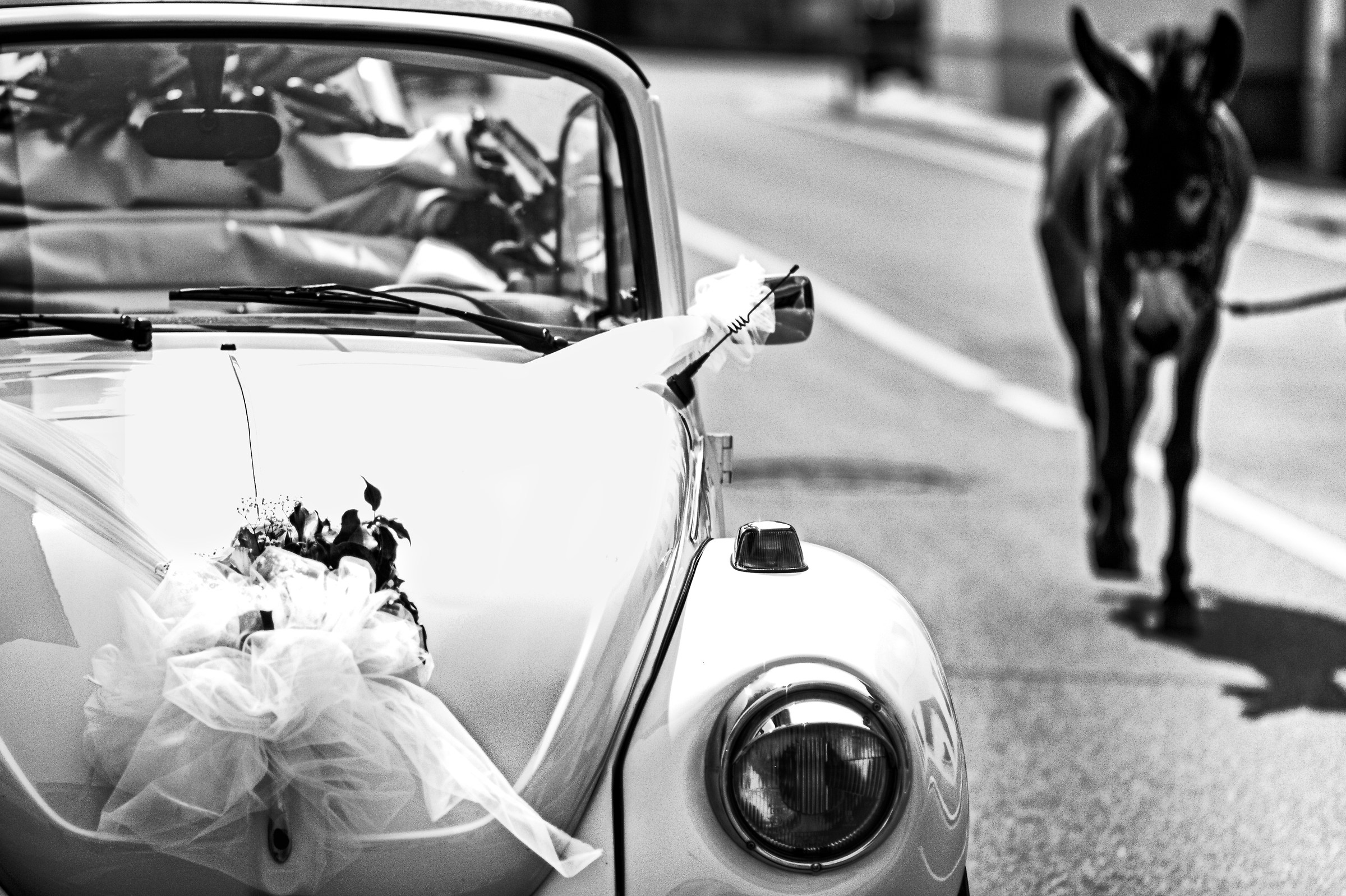 But they could not marry the donkey and the man because from