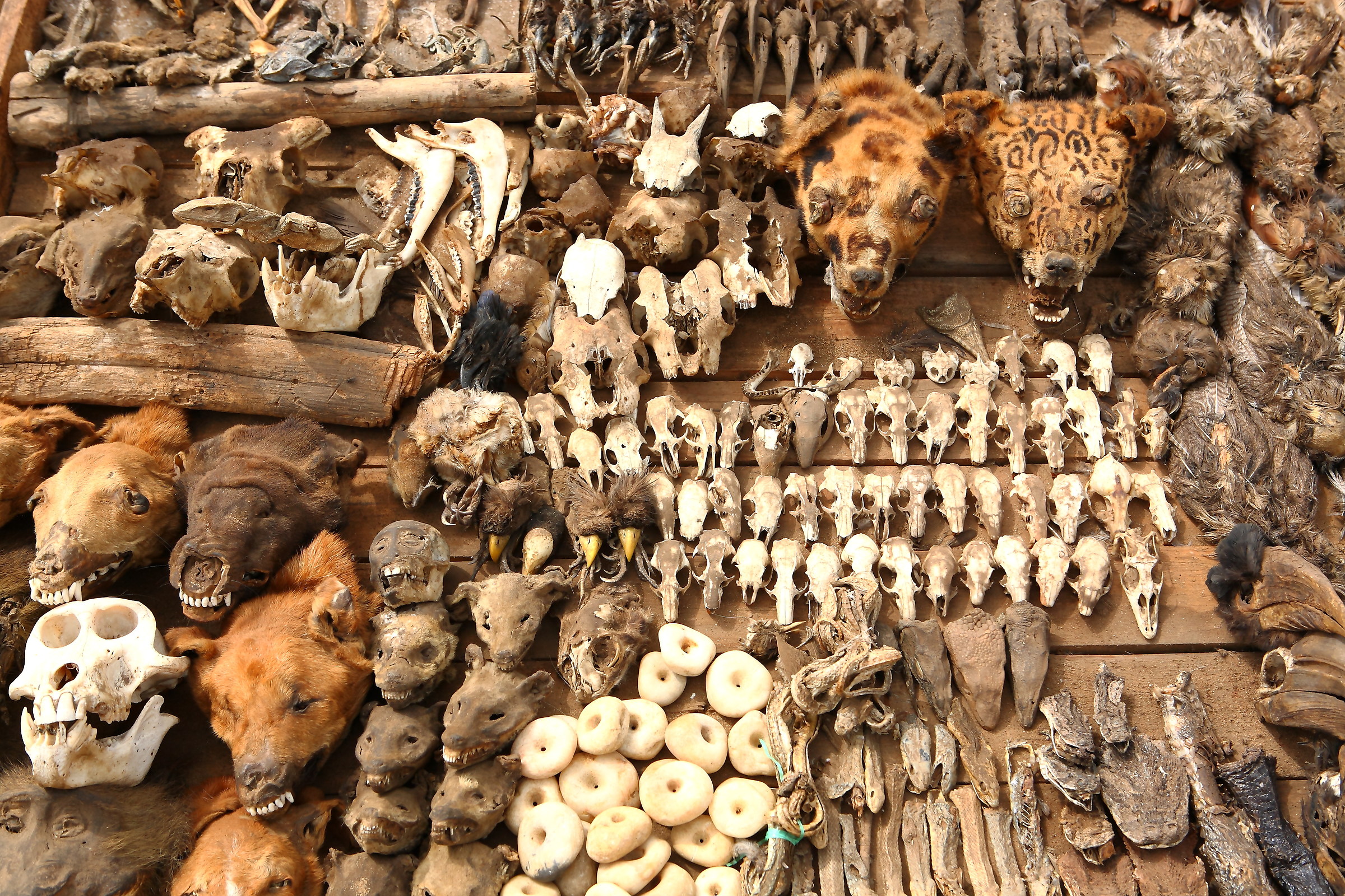 Mercato Feticci Medicina Tradizionale Voodoo, Lomè To...